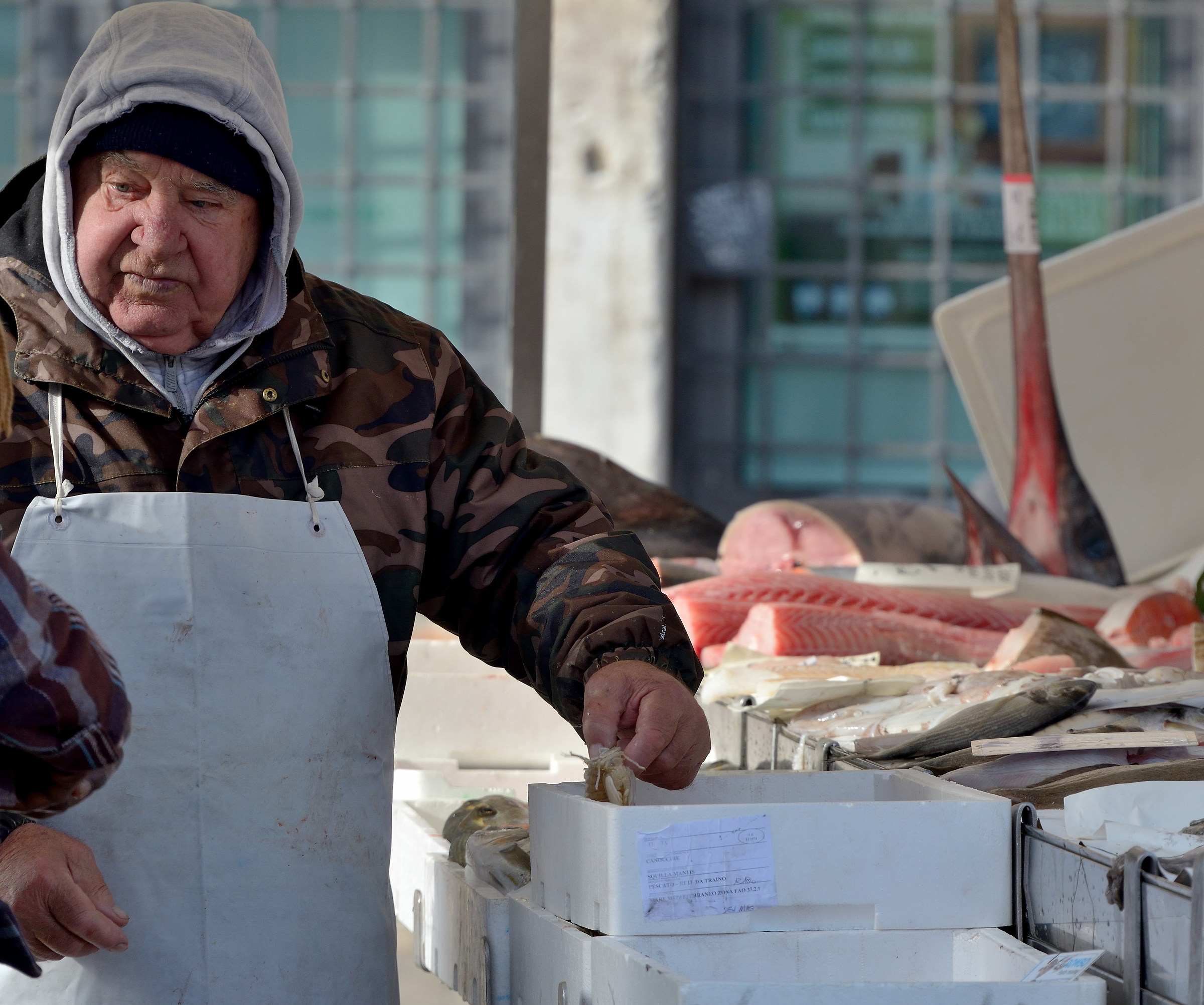 Venice, the fishmonger