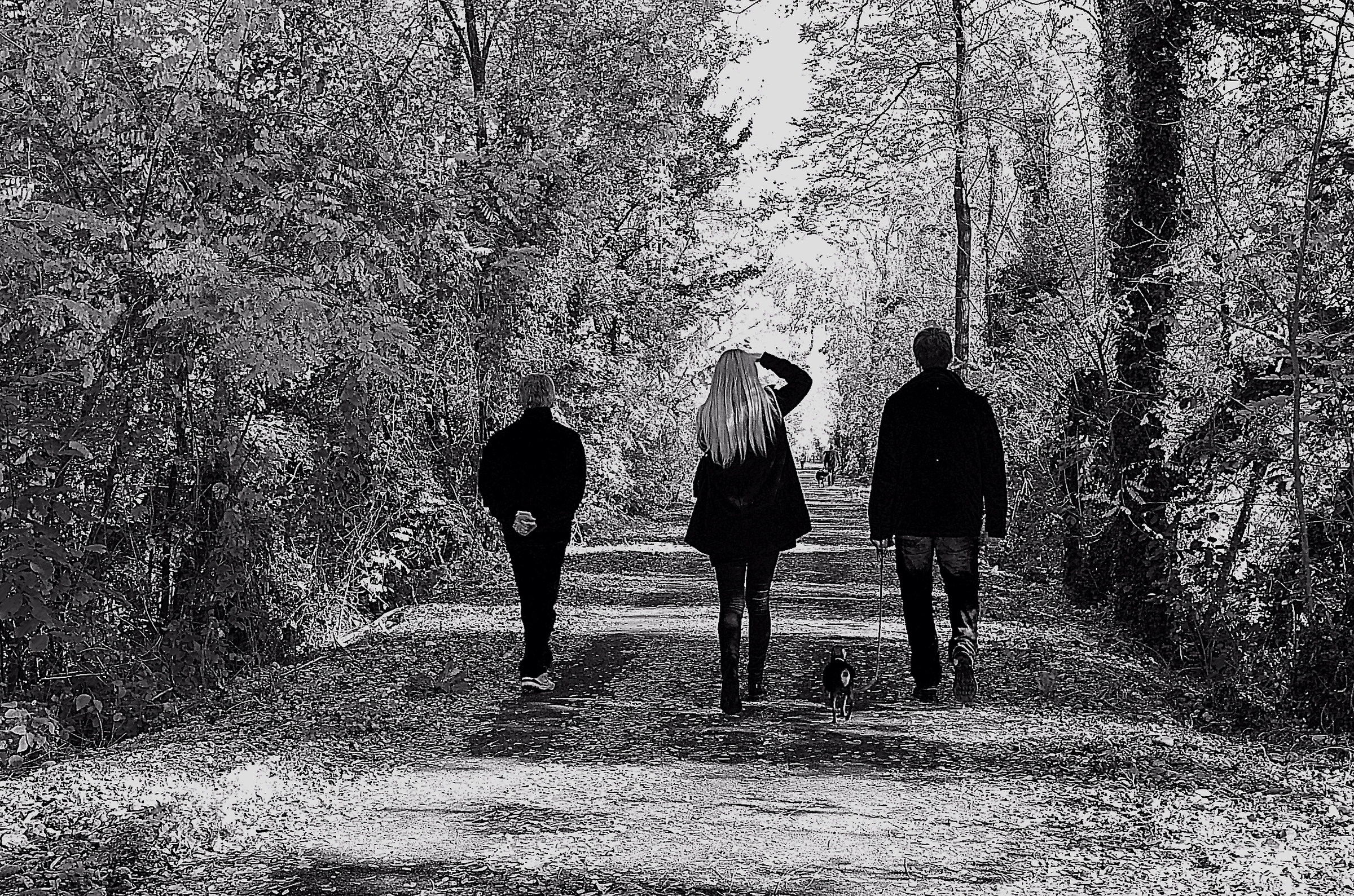 Ostiglia pedestrian III