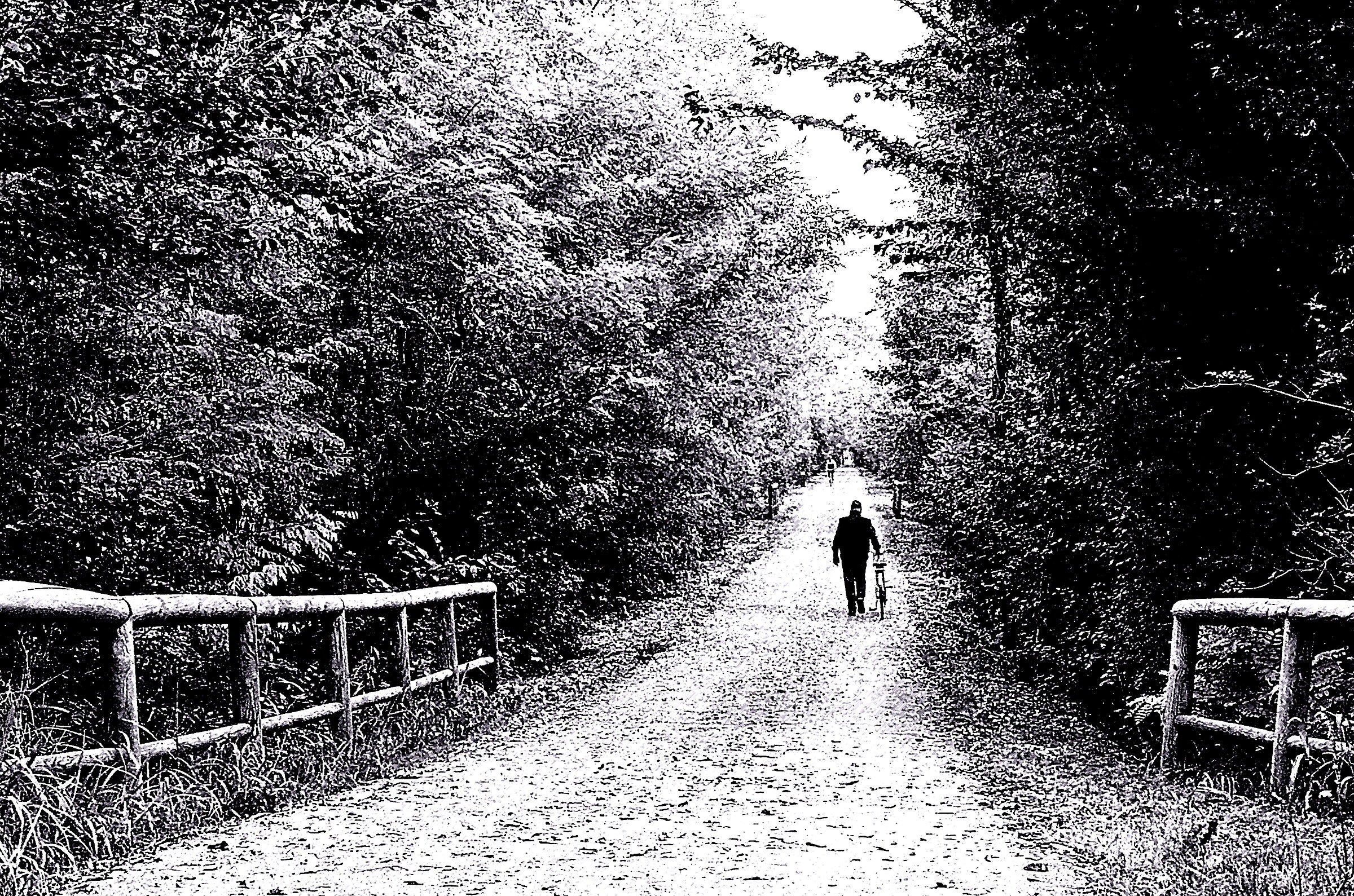 Ostiglia pedestrian IV