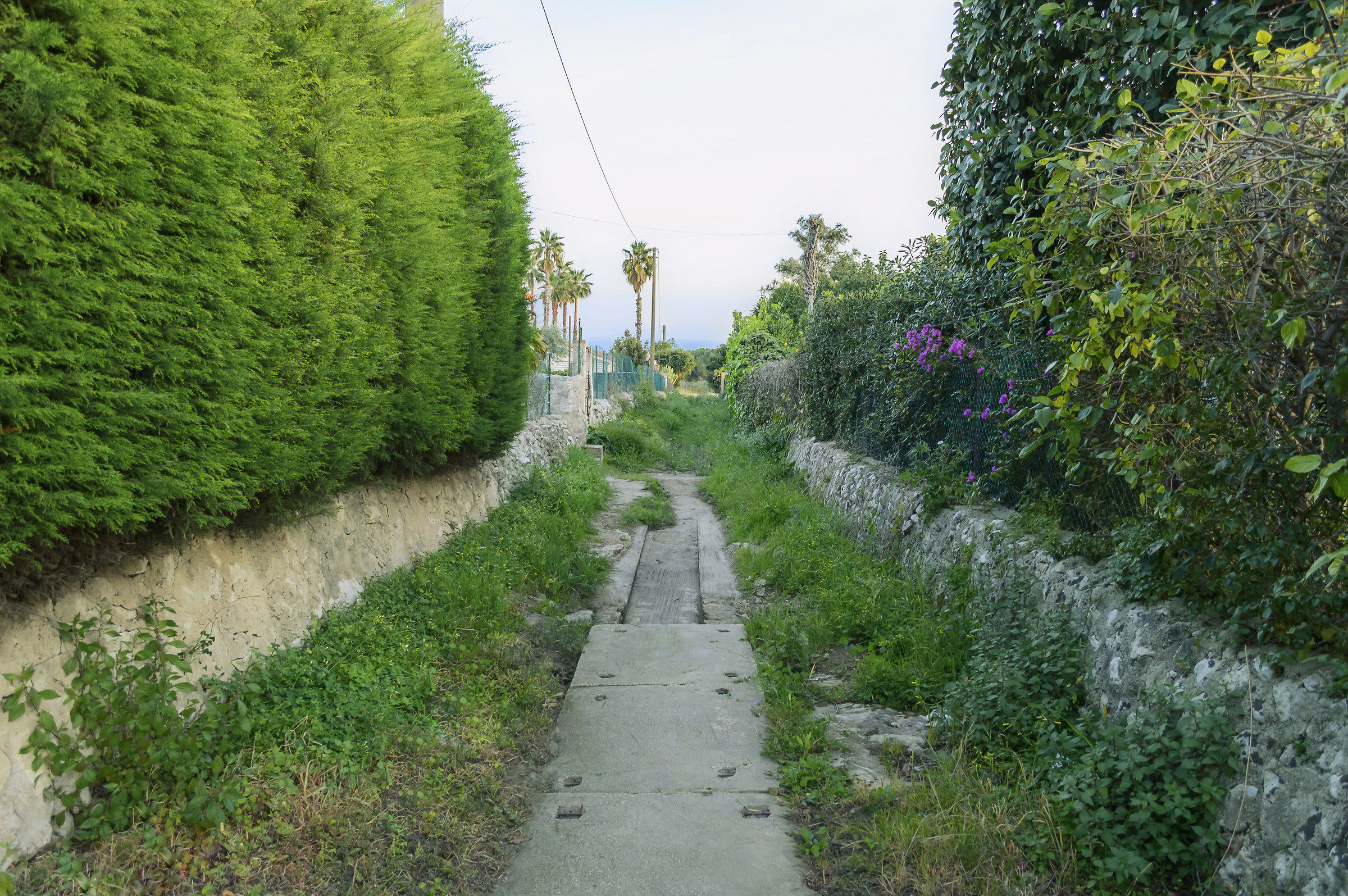 Le chemin vers la mer