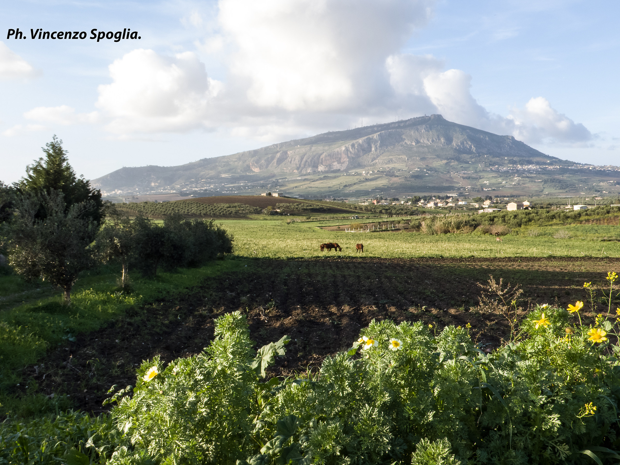 Erice vista dalla campagna.