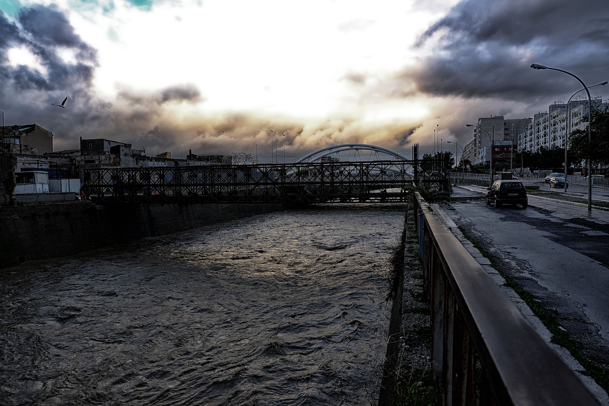 Una corsa verso il mare