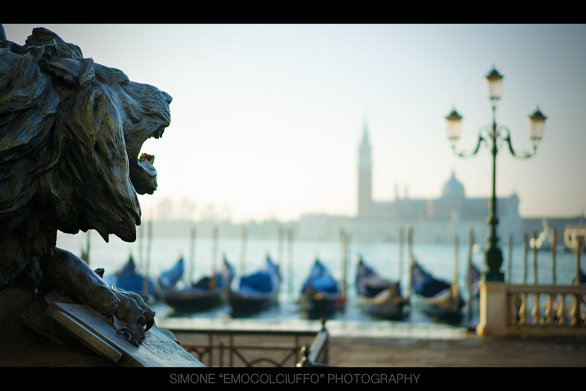 The Lion of Venice