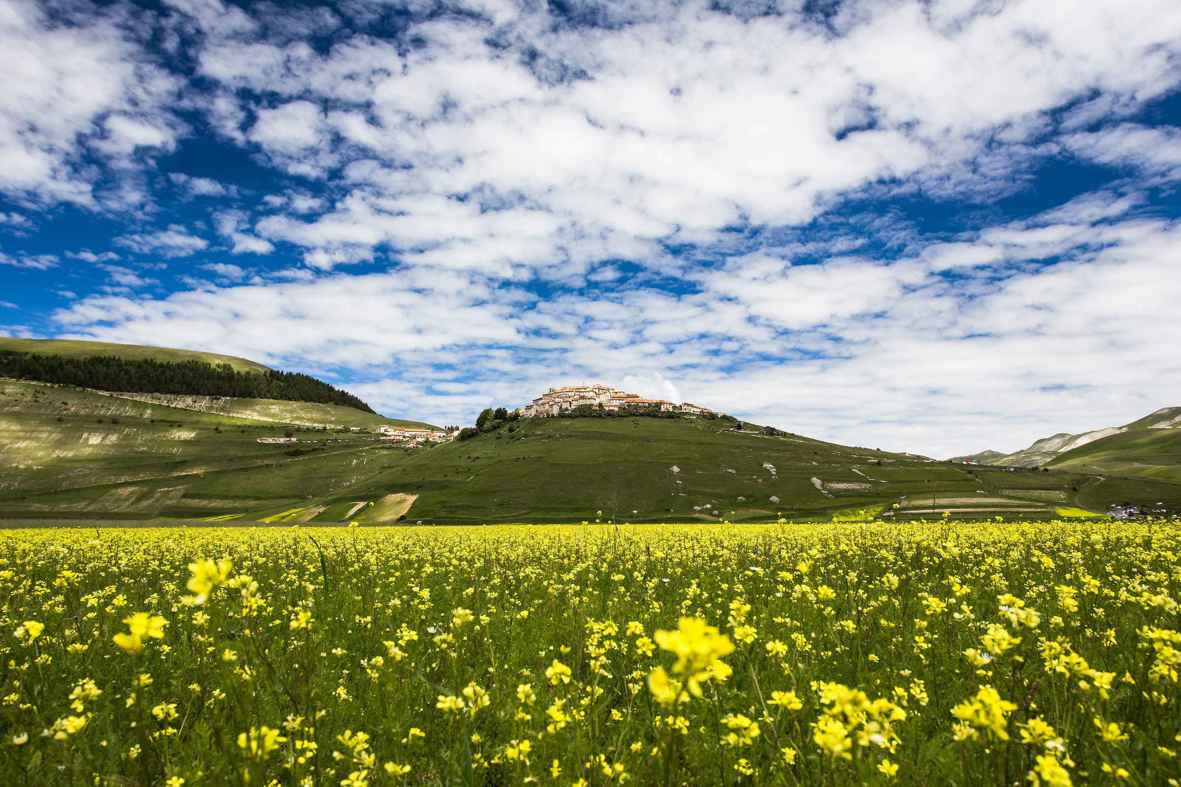 Through the Earth and Sky