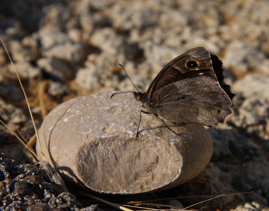 gustarsi un raggio di sole