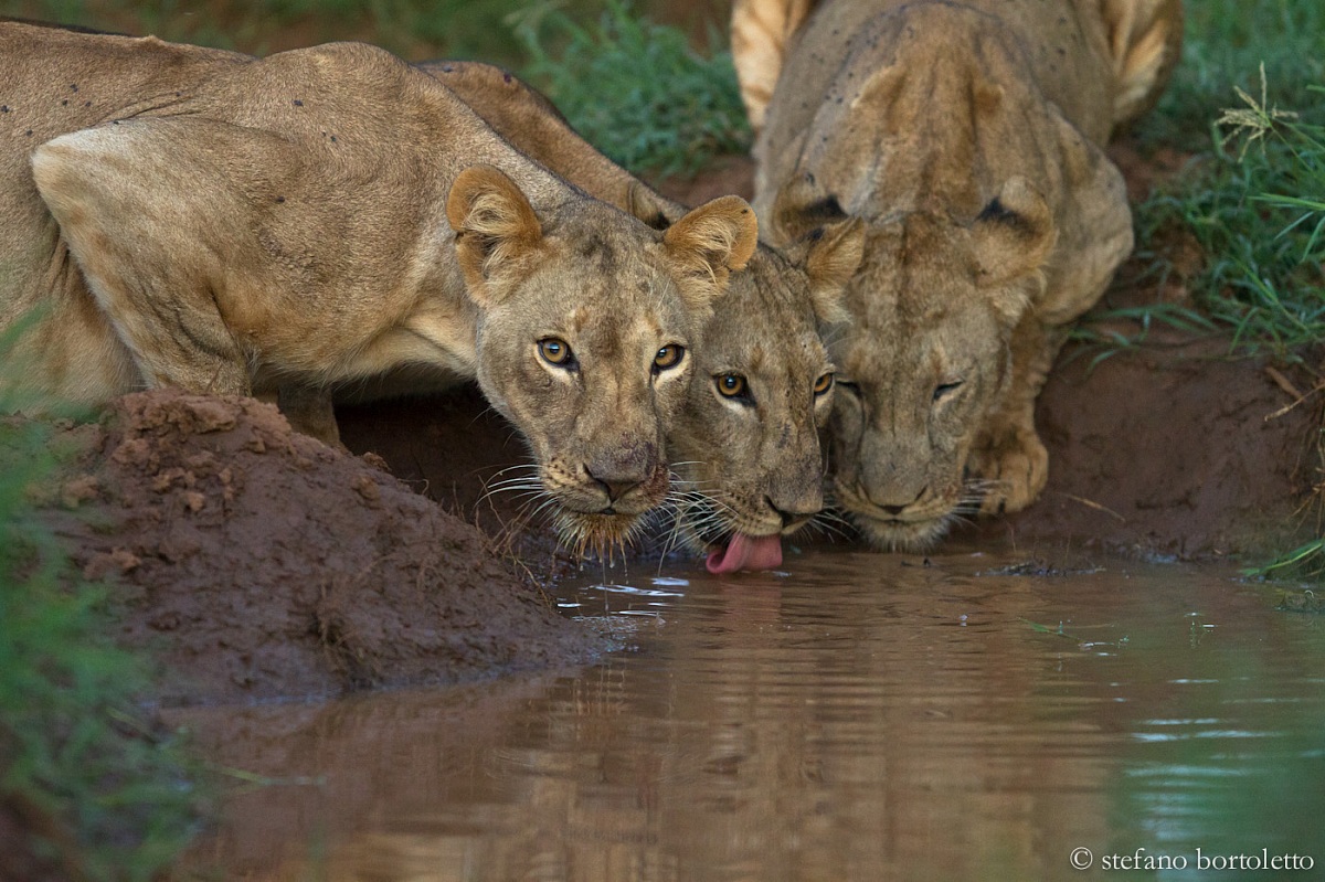 lasciami bere in pace