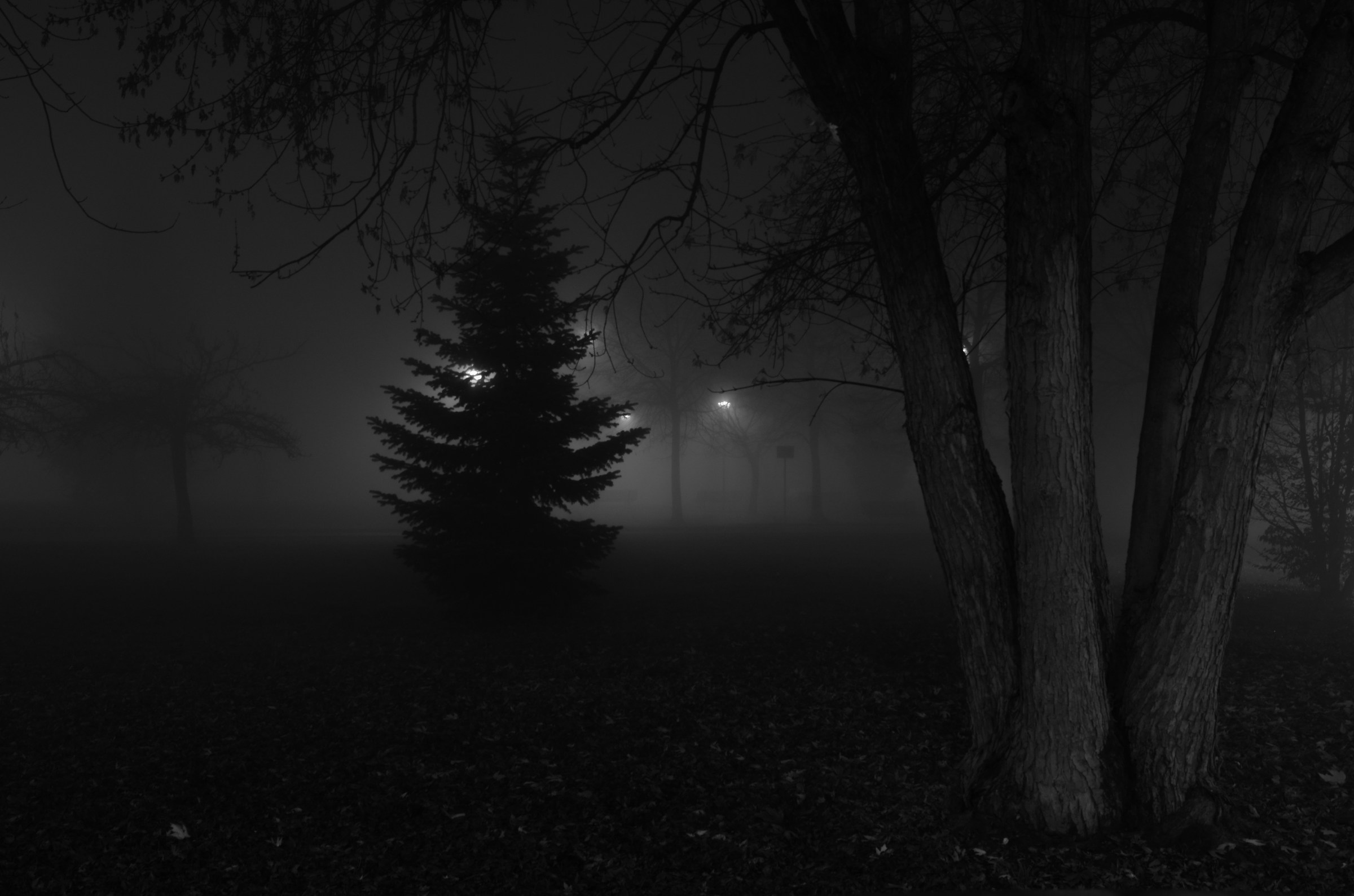 Foggy Night in Piacenza