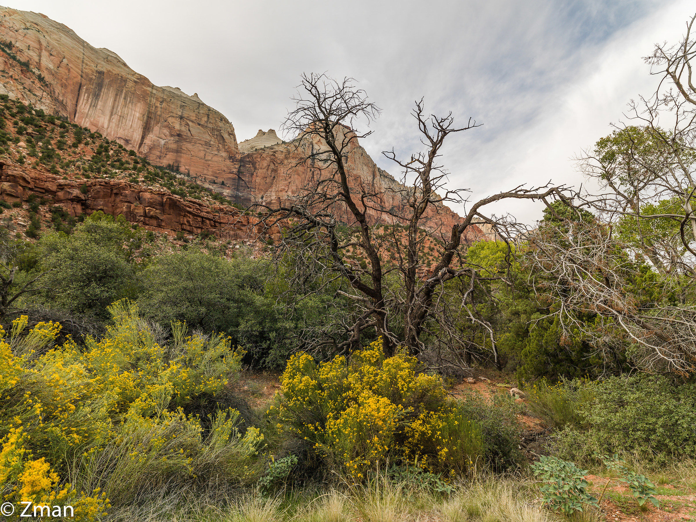 Zion National Park
