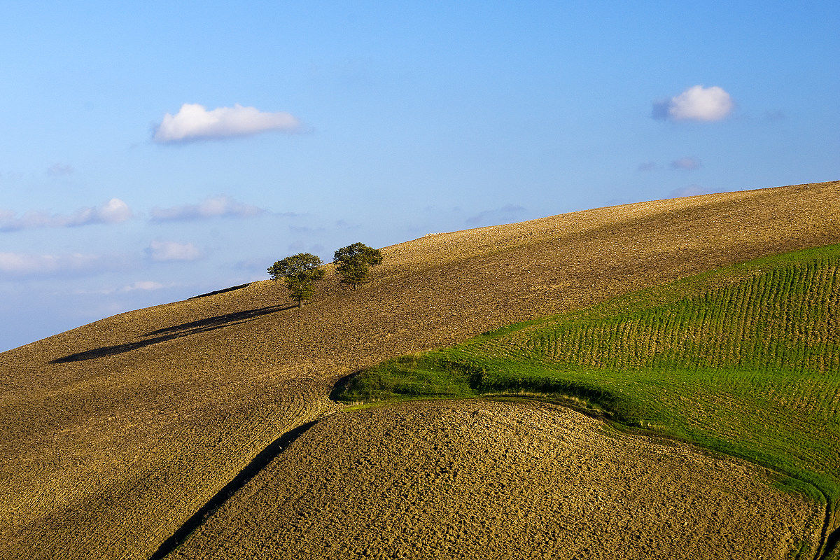 Minimalismo....rurale