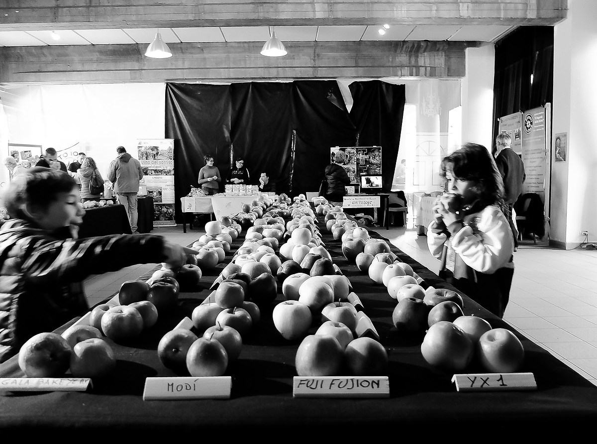 la fiera della mele