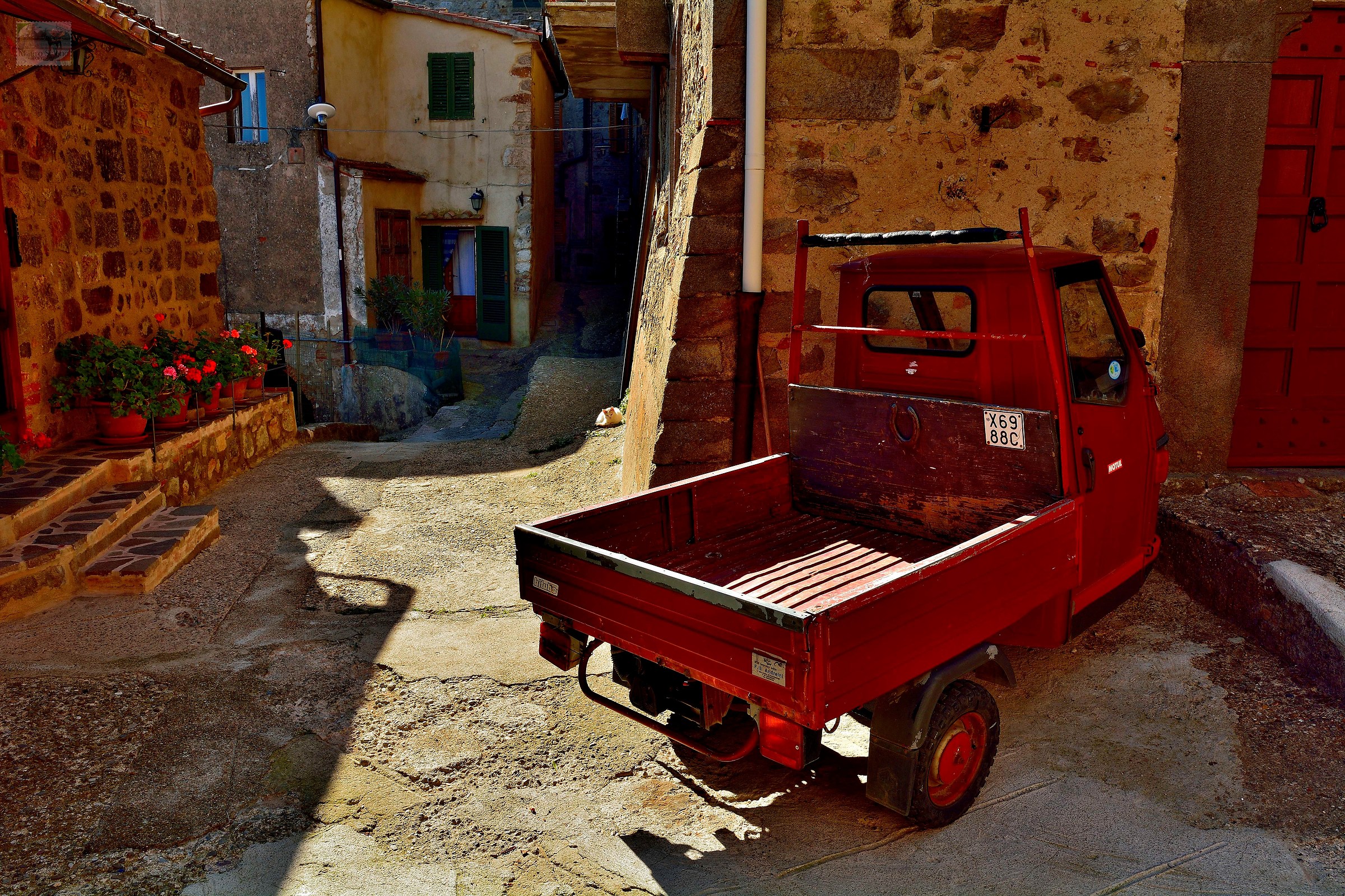 Maremma car