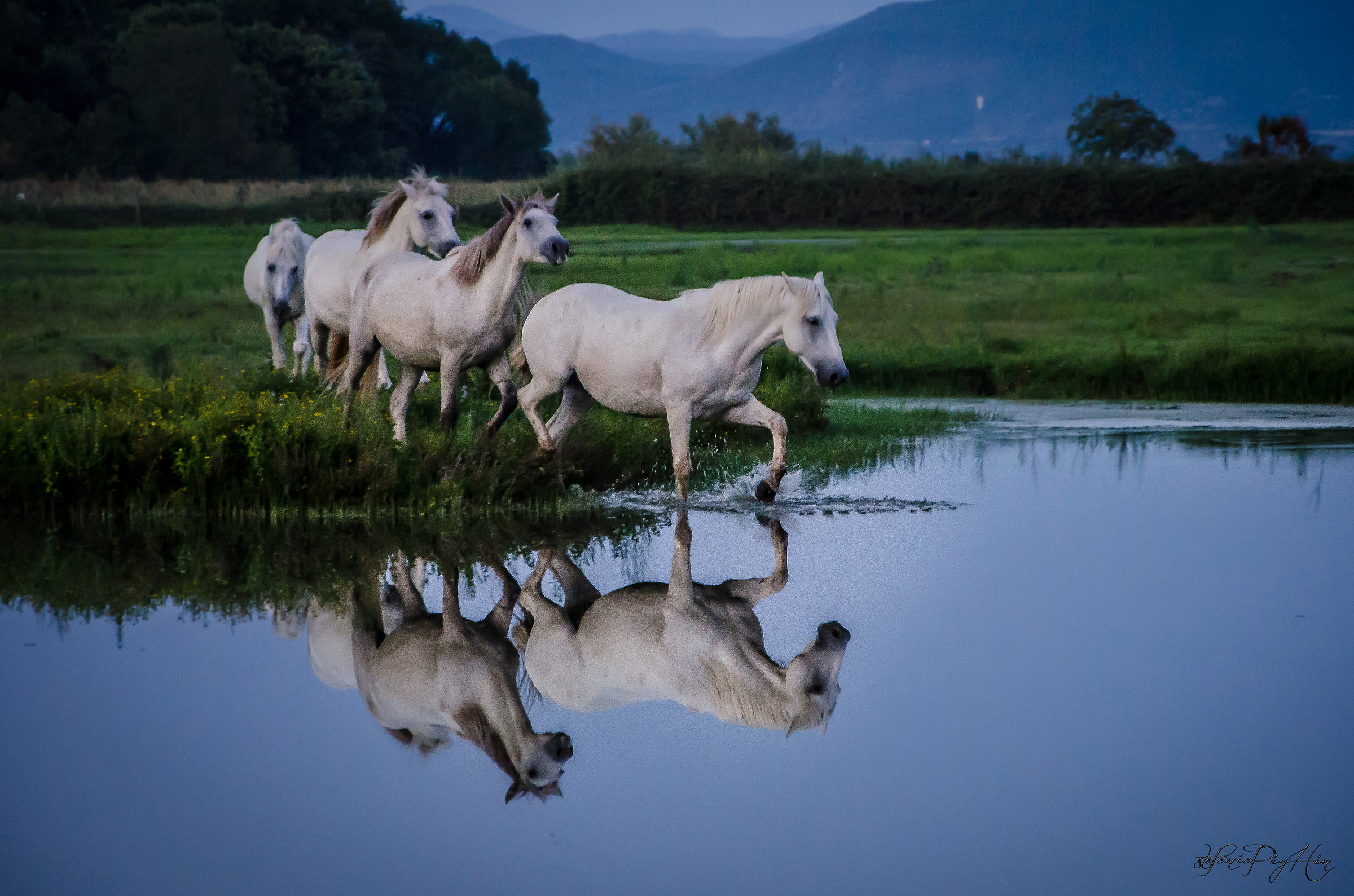 Riflessi(oni) serali