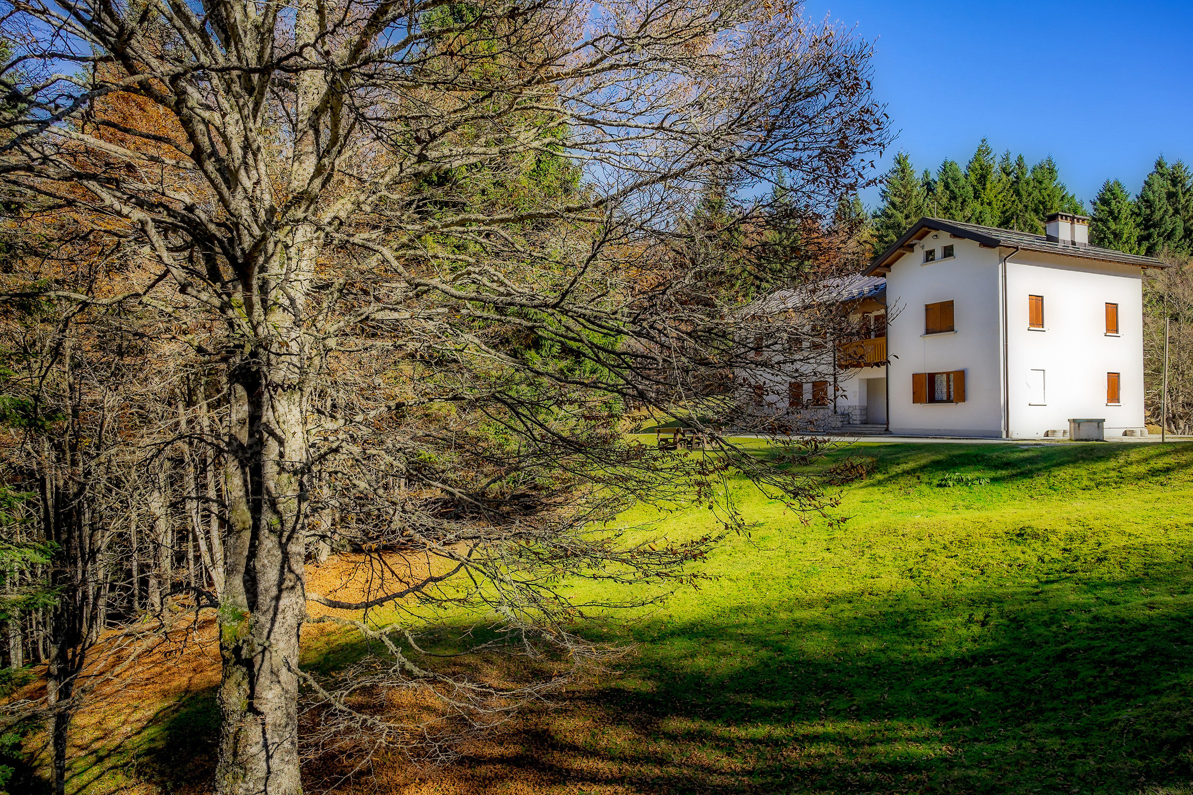 A postcard from cansiglio