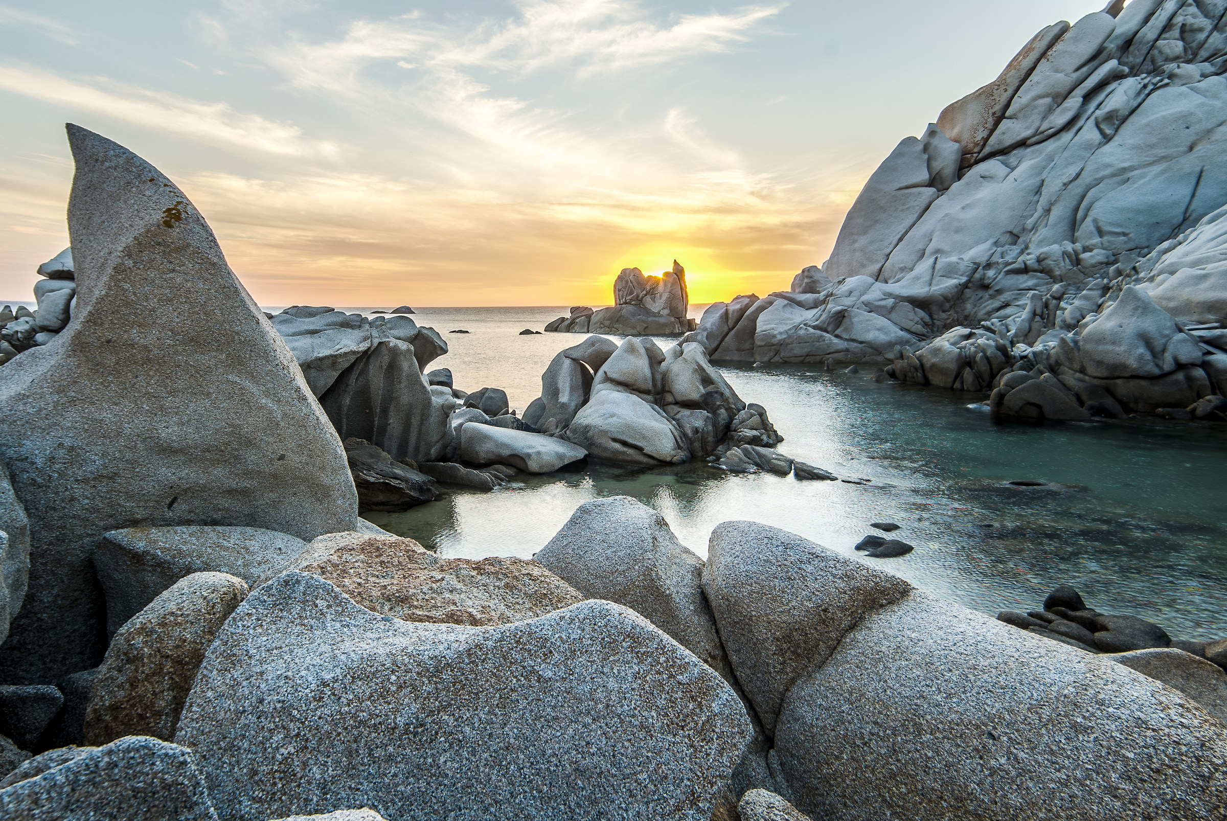 Clear Silhouettes at Sunset