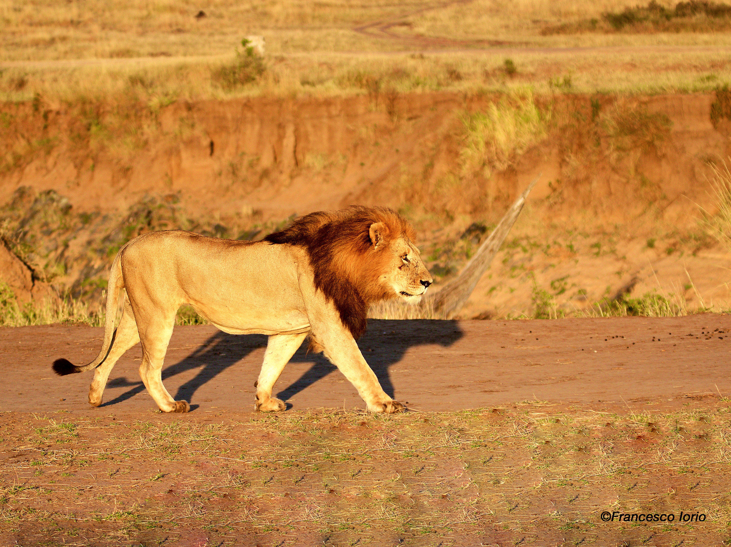 Passing along the Mara