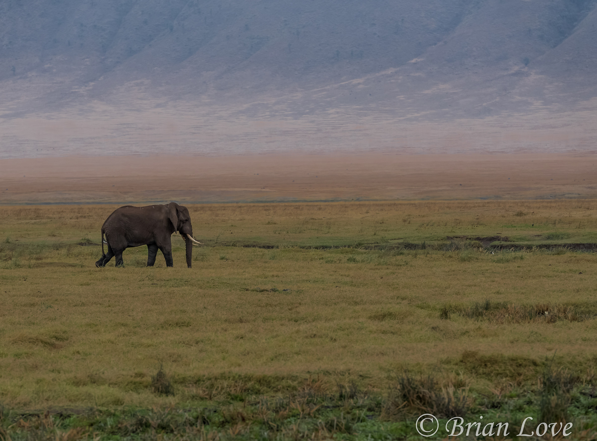 Classic NgoroNgoro