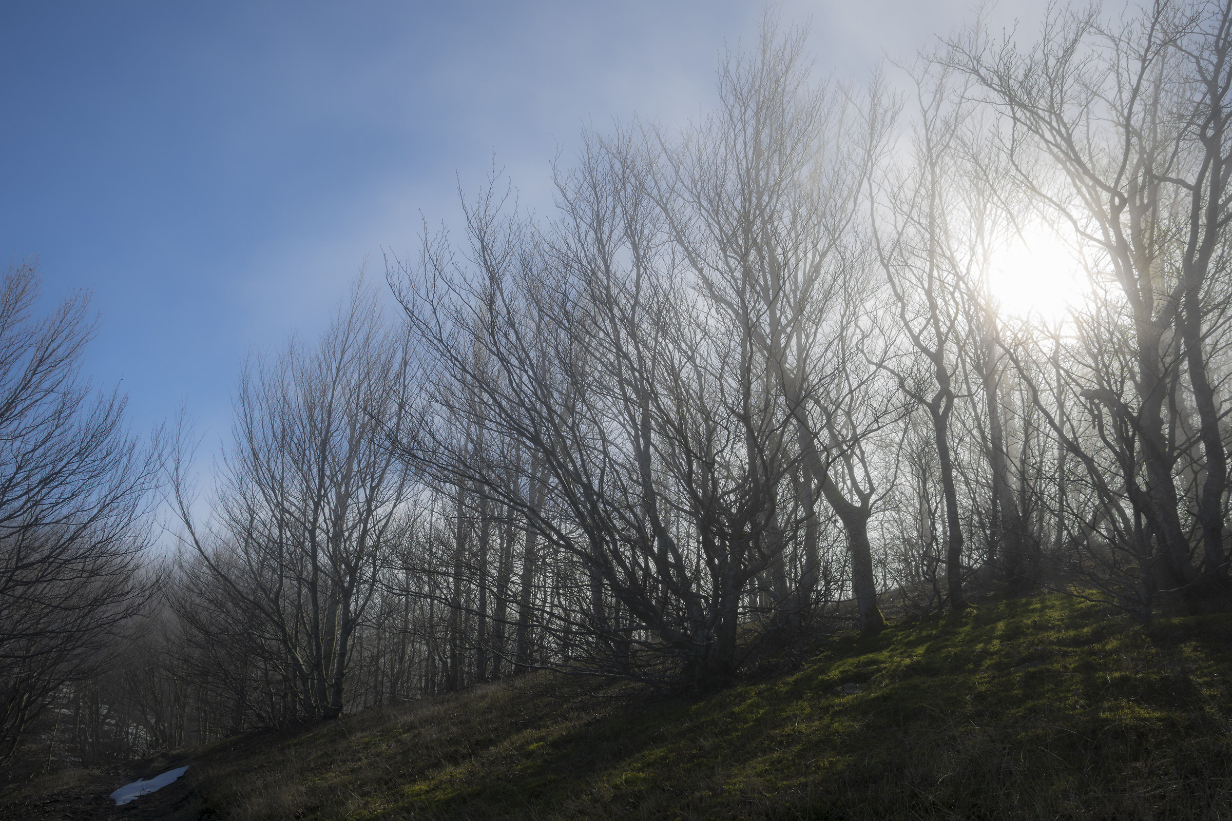 Sul confine tra cielo e nebbia