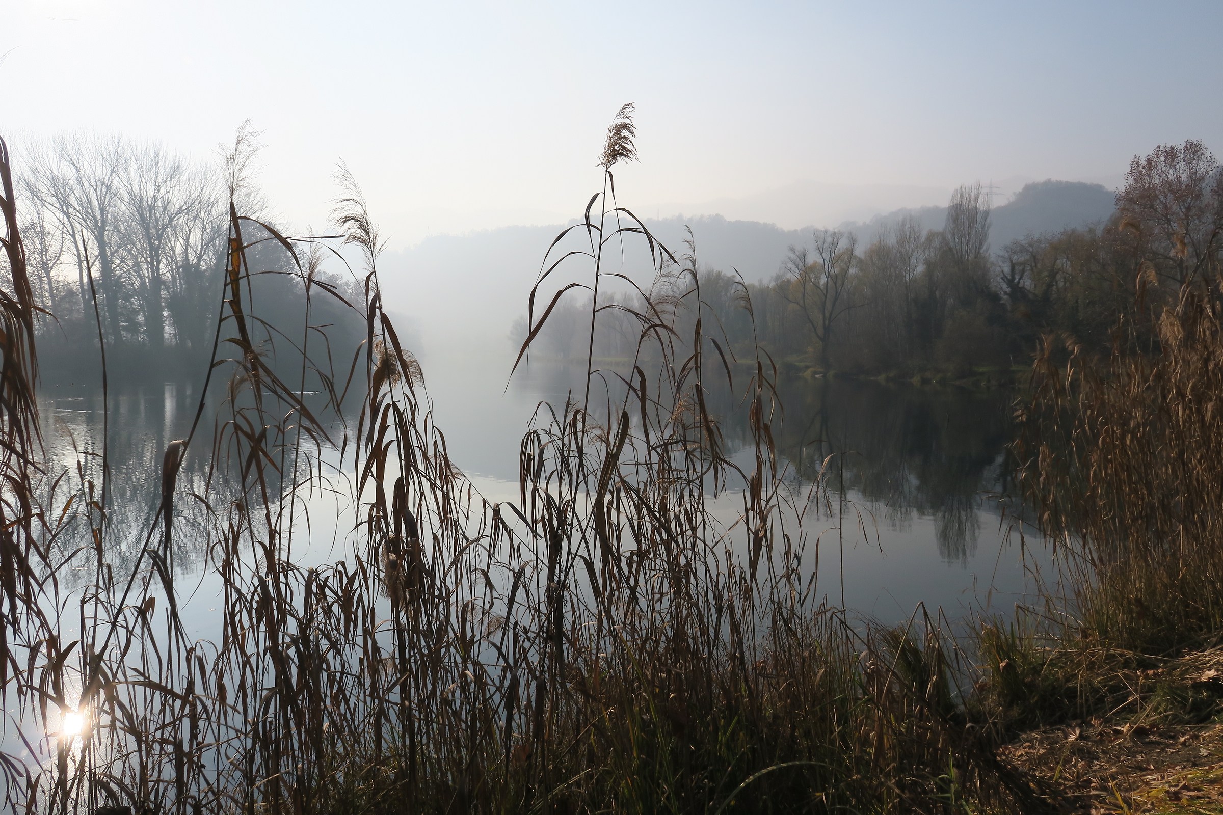 Adda, nebbiolina autunnale 2
