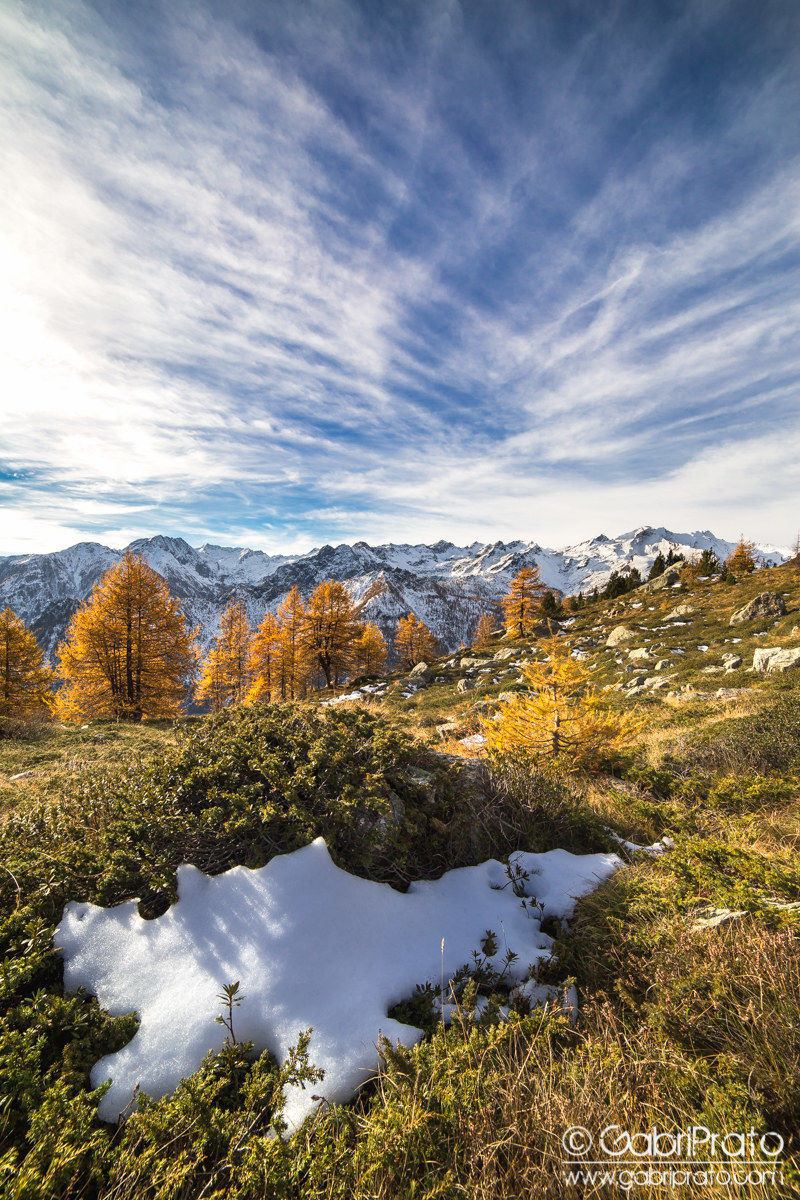 The last autumn colors