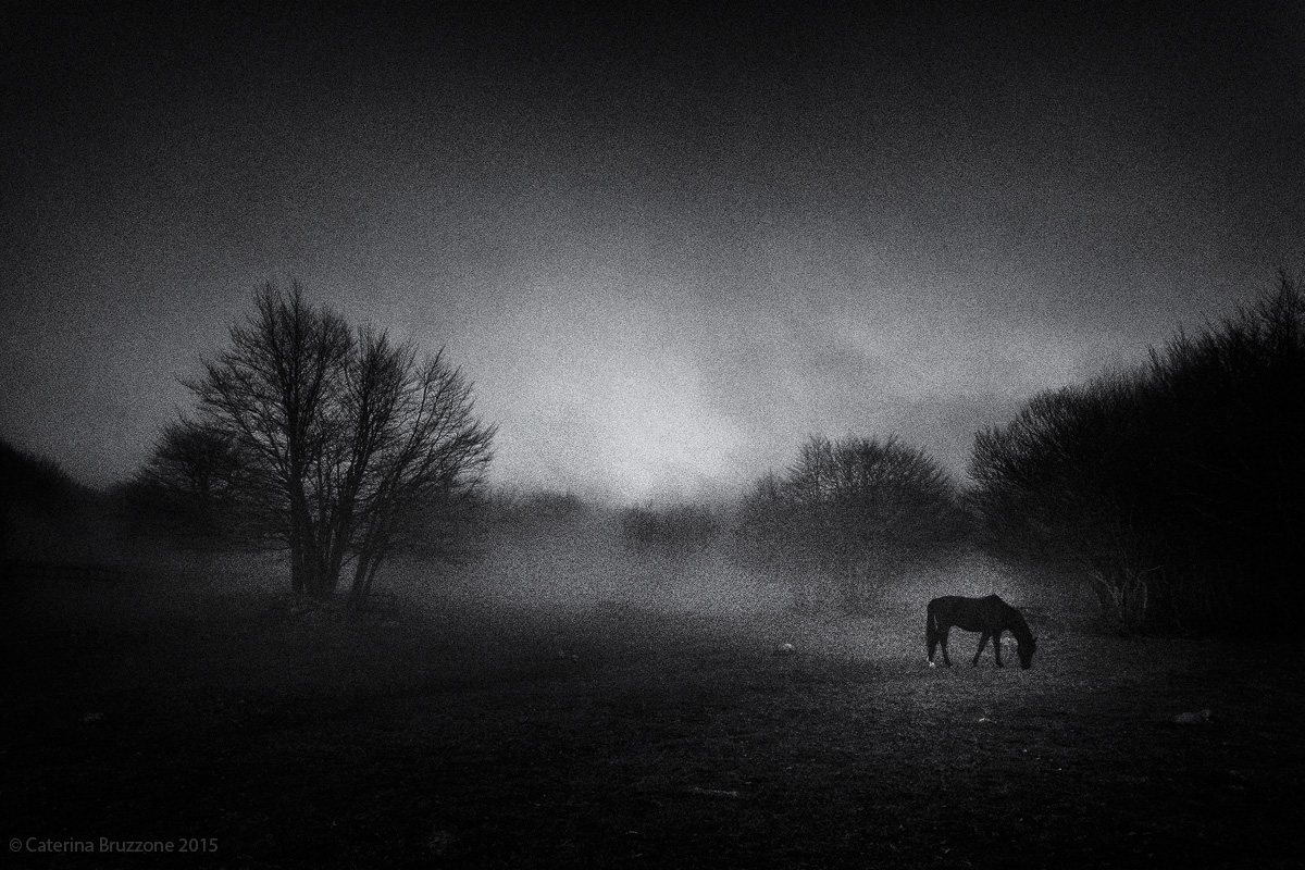 Ombre scure nella nebbia