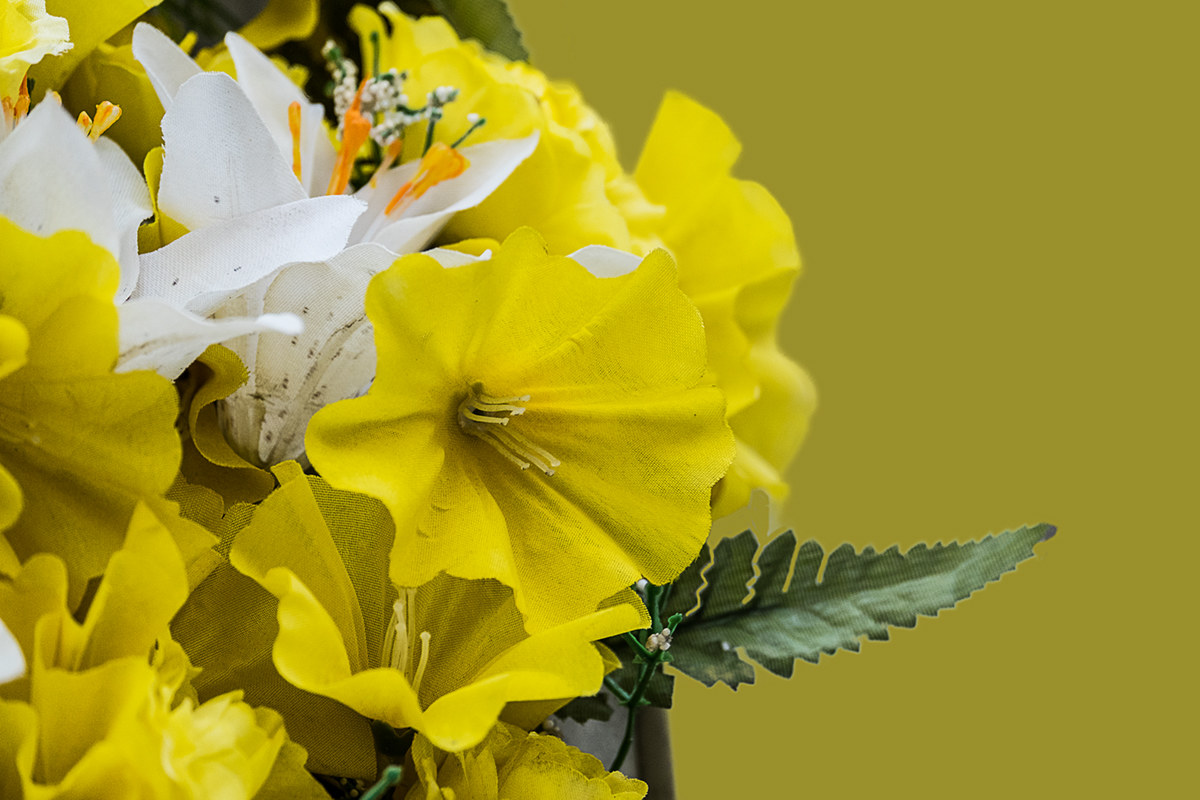 Composizione floreale