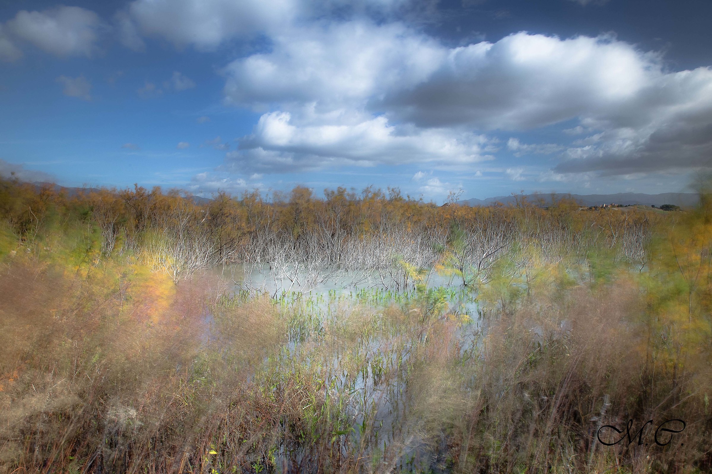 A landscape unexpected