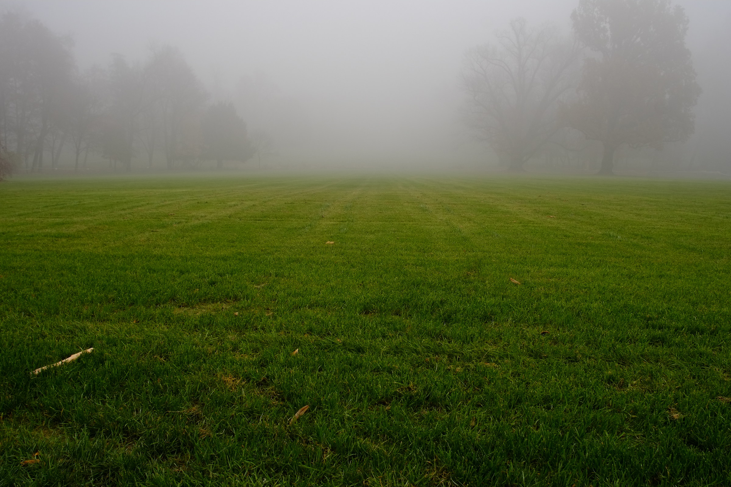 Prato della Villa reale nella nebbia