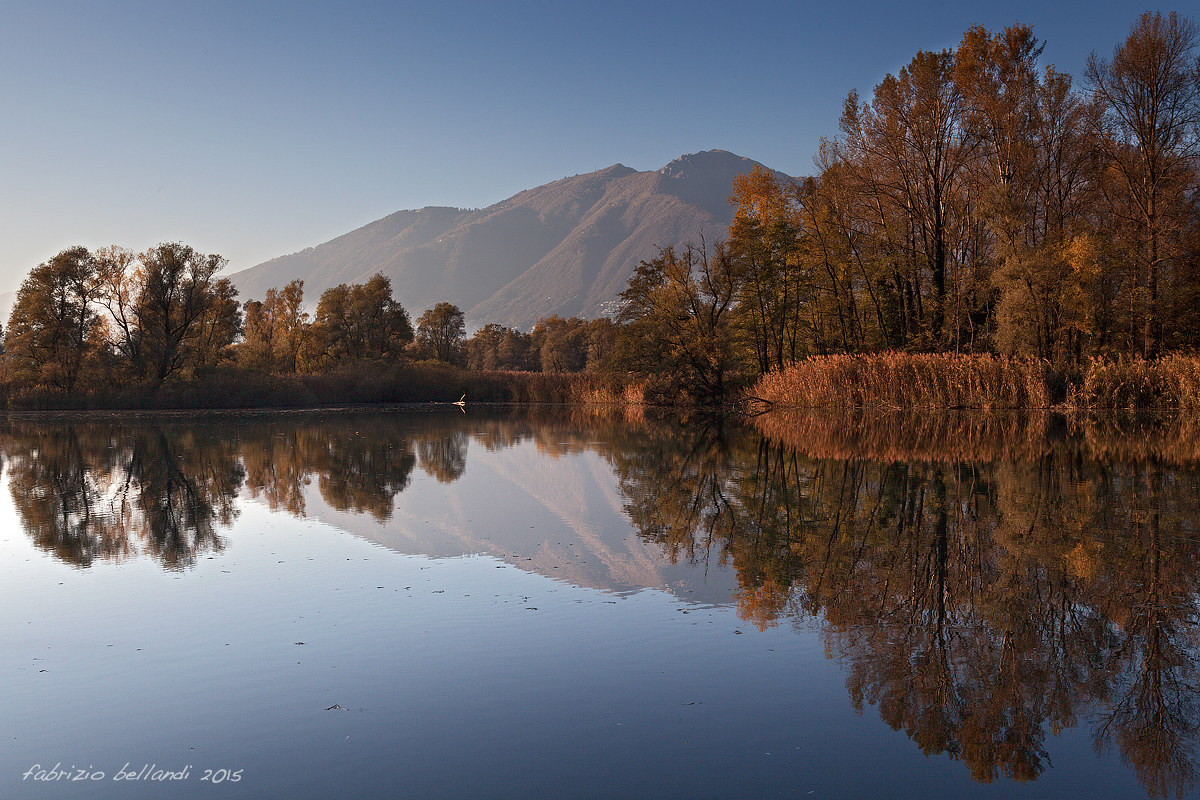 Il posatoio del cormorano