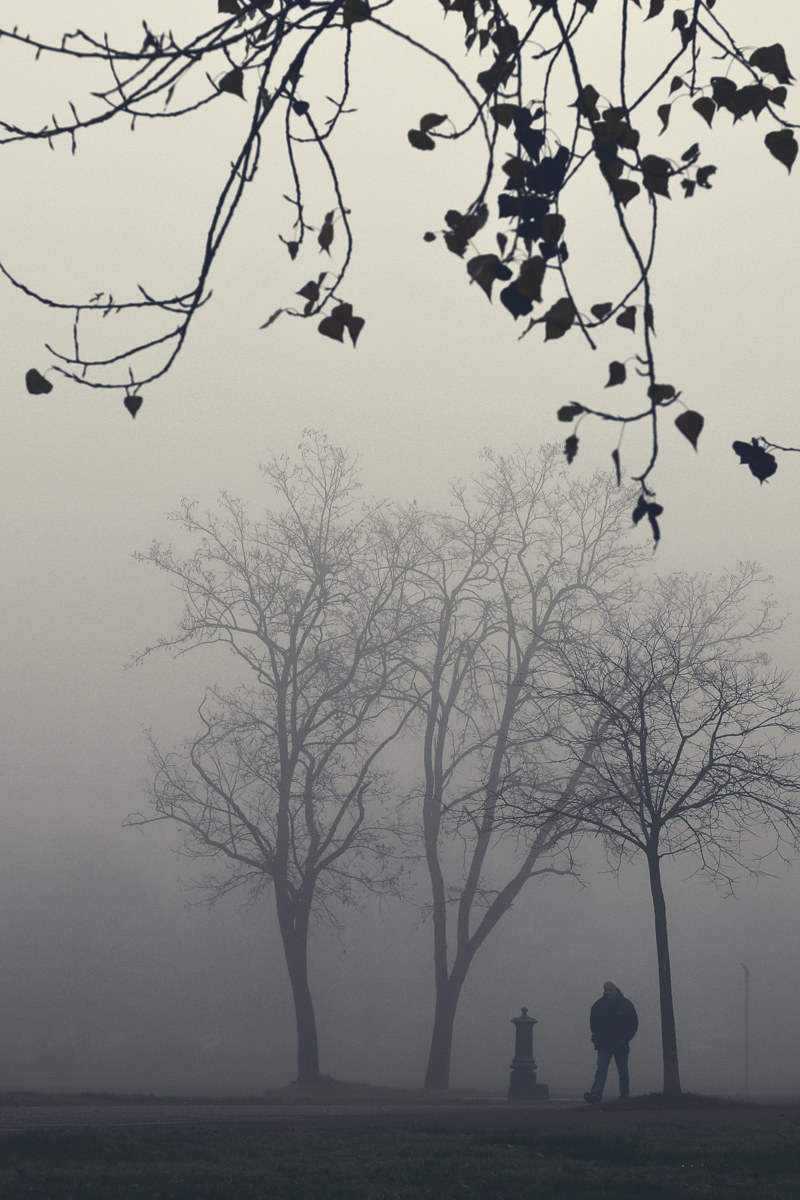 Chi ha paura della nebbia?