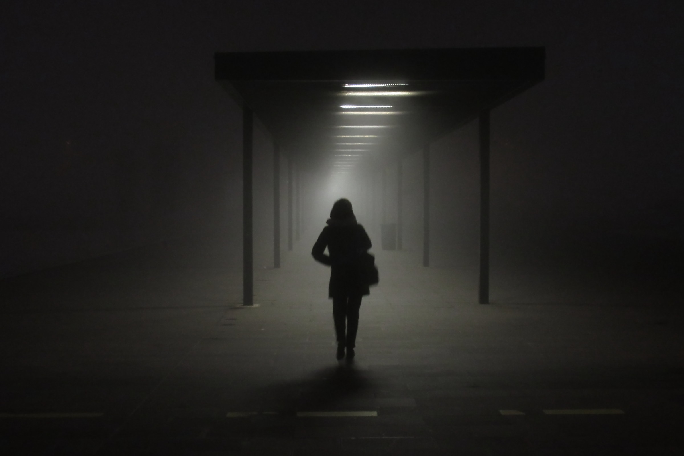 The Undiscovered Country