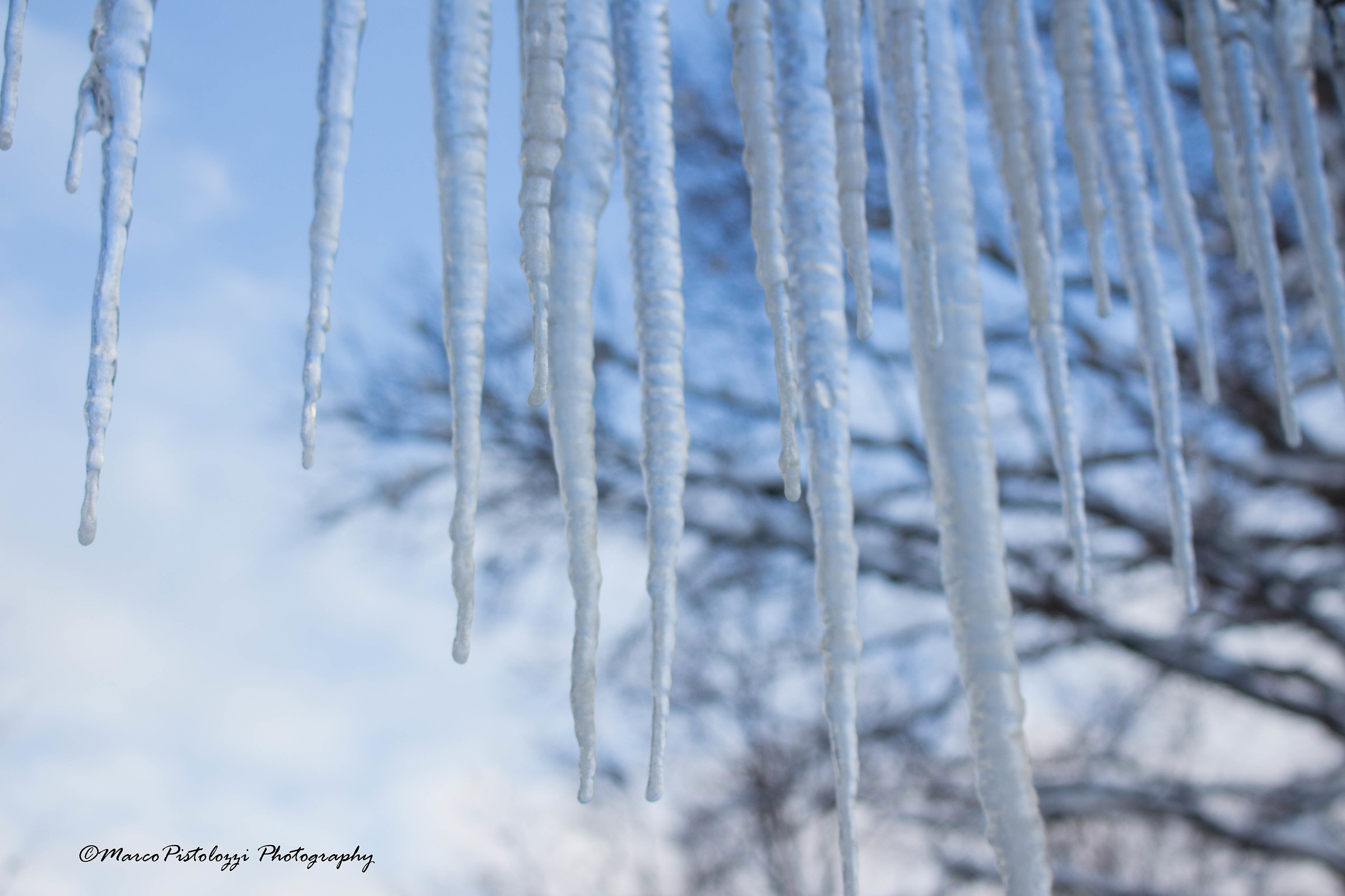 Candelotti .... ice......