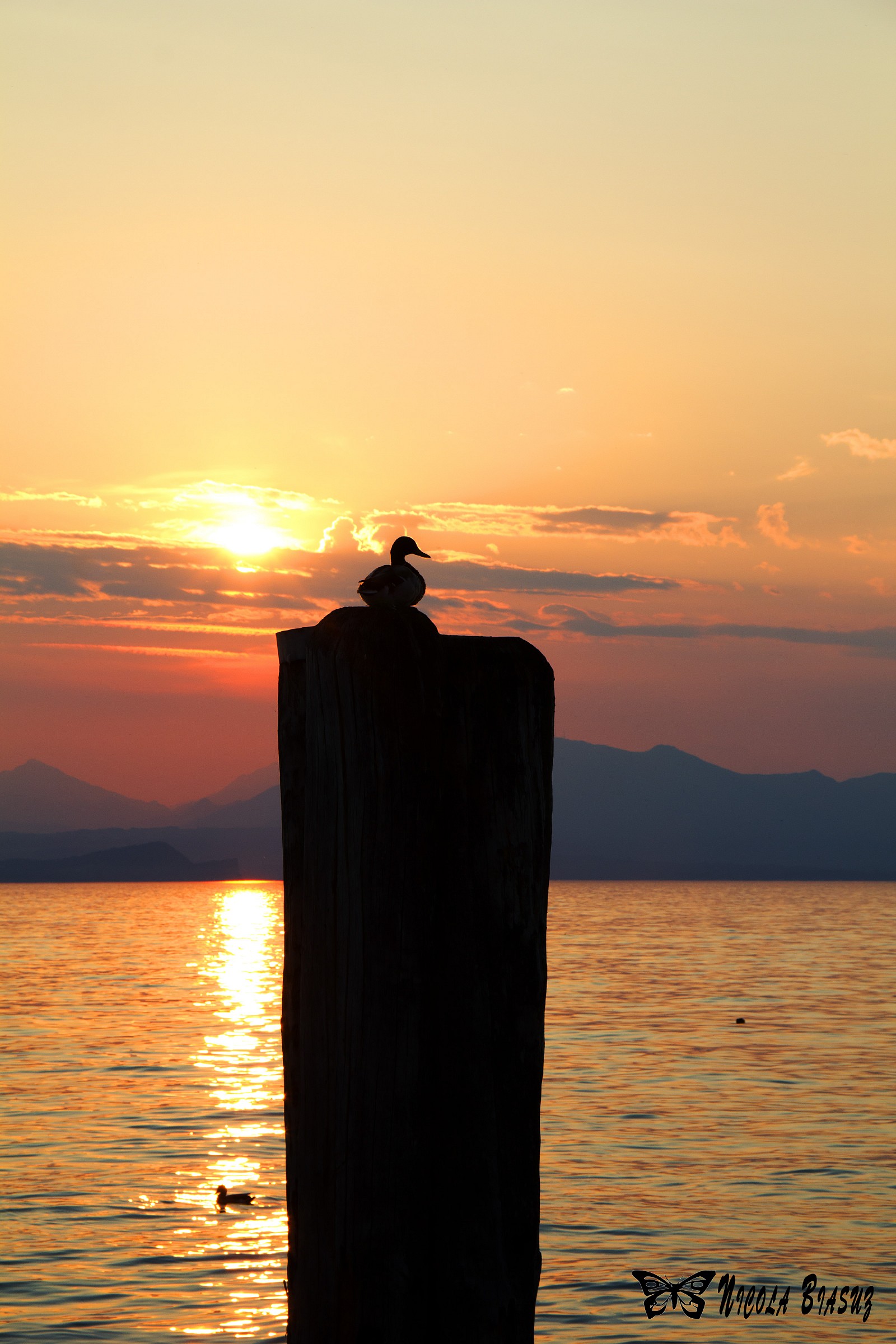Cala il silenzio sul lago...