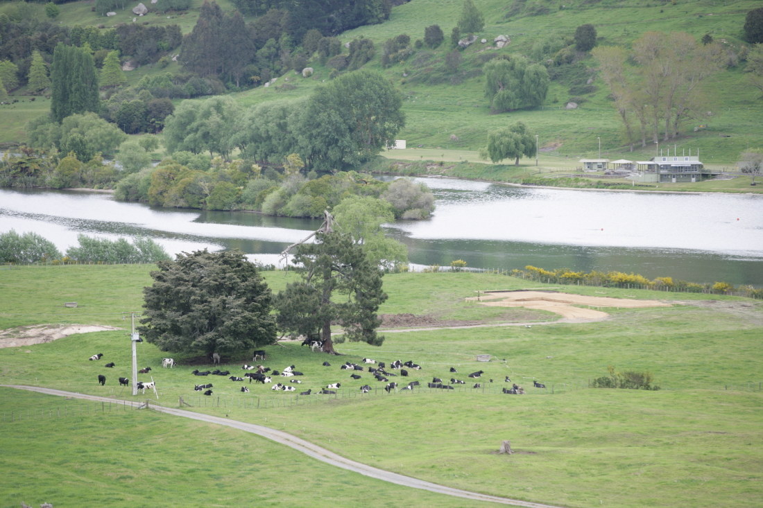 The Way from Auckland to Taupo Lake and Taupo Lake