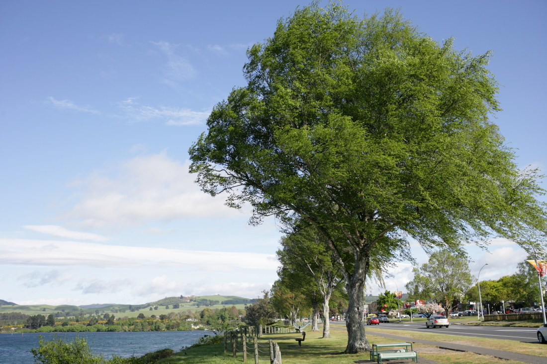 The Way from Auckland to Taupo Lake and Taupo Lake