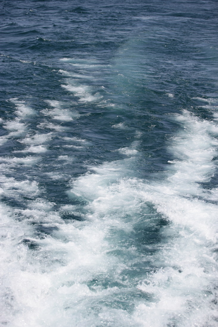 The Way from Auckland to Taupo Lake and Taupo Lake