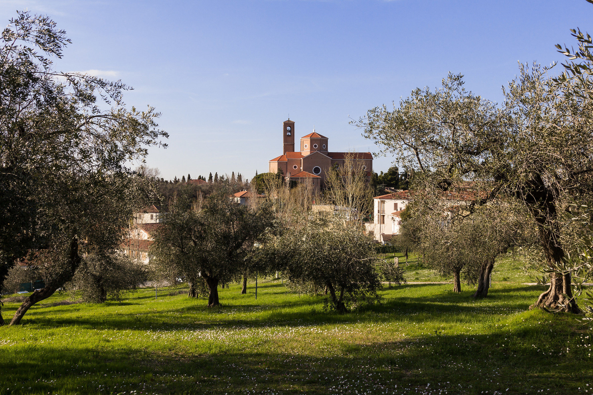 La chiesa tra gli ulivi