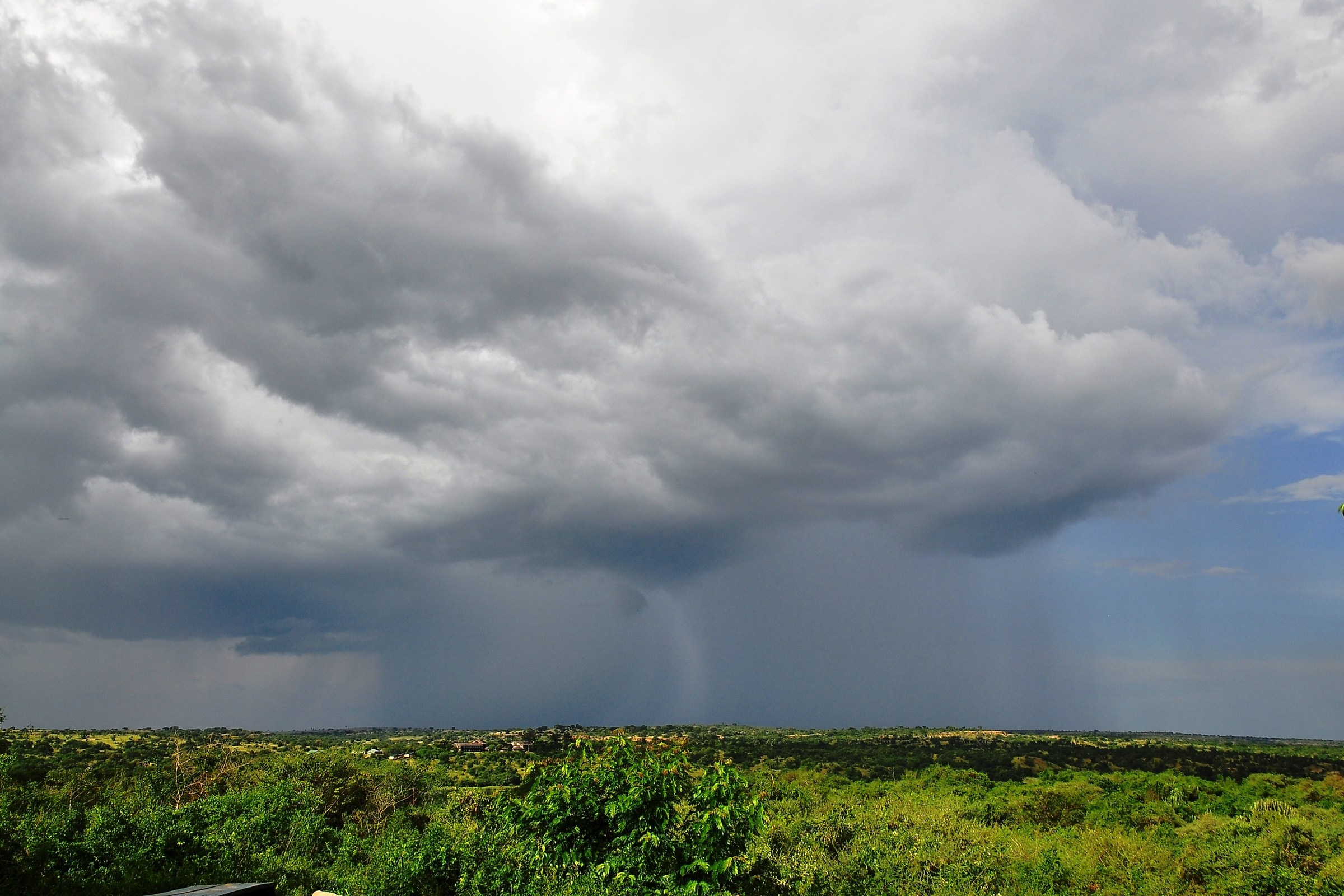 acquazzone pomeridiano