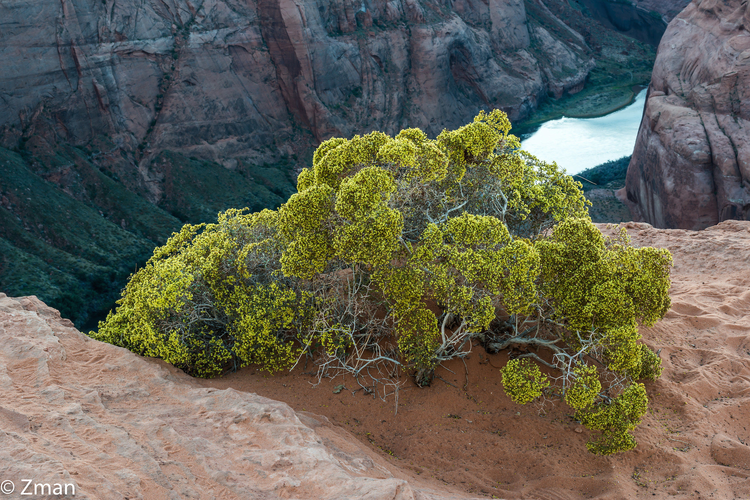 At The Horseshoe Bend