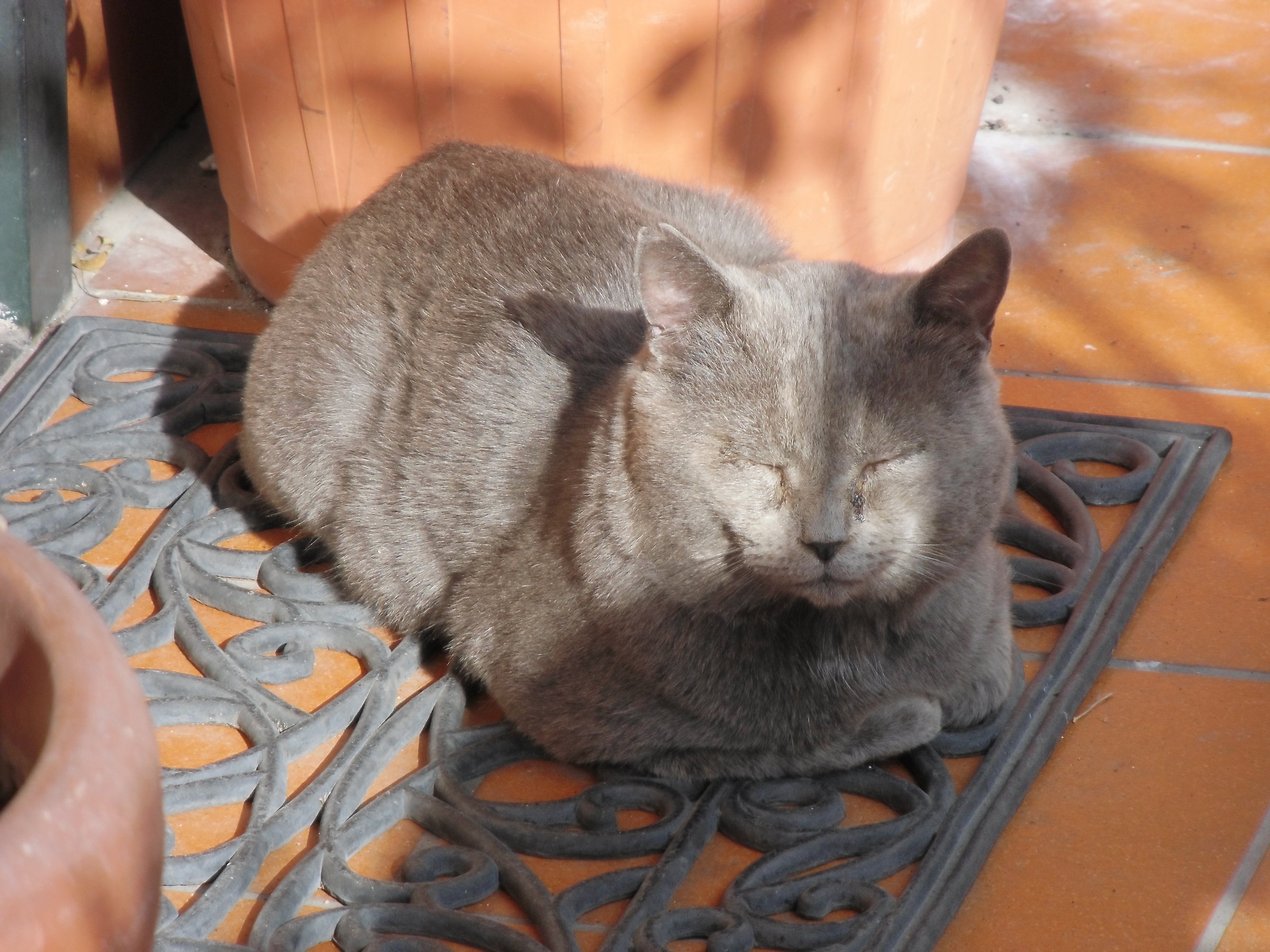 Mo' ce vole 'na pennichella