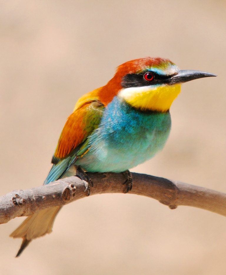 're standing there ... you take a picture!