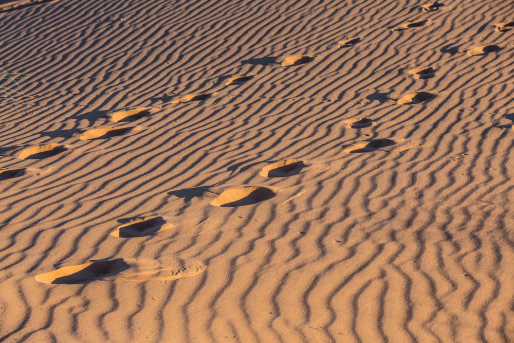 Two steps in the Desert.