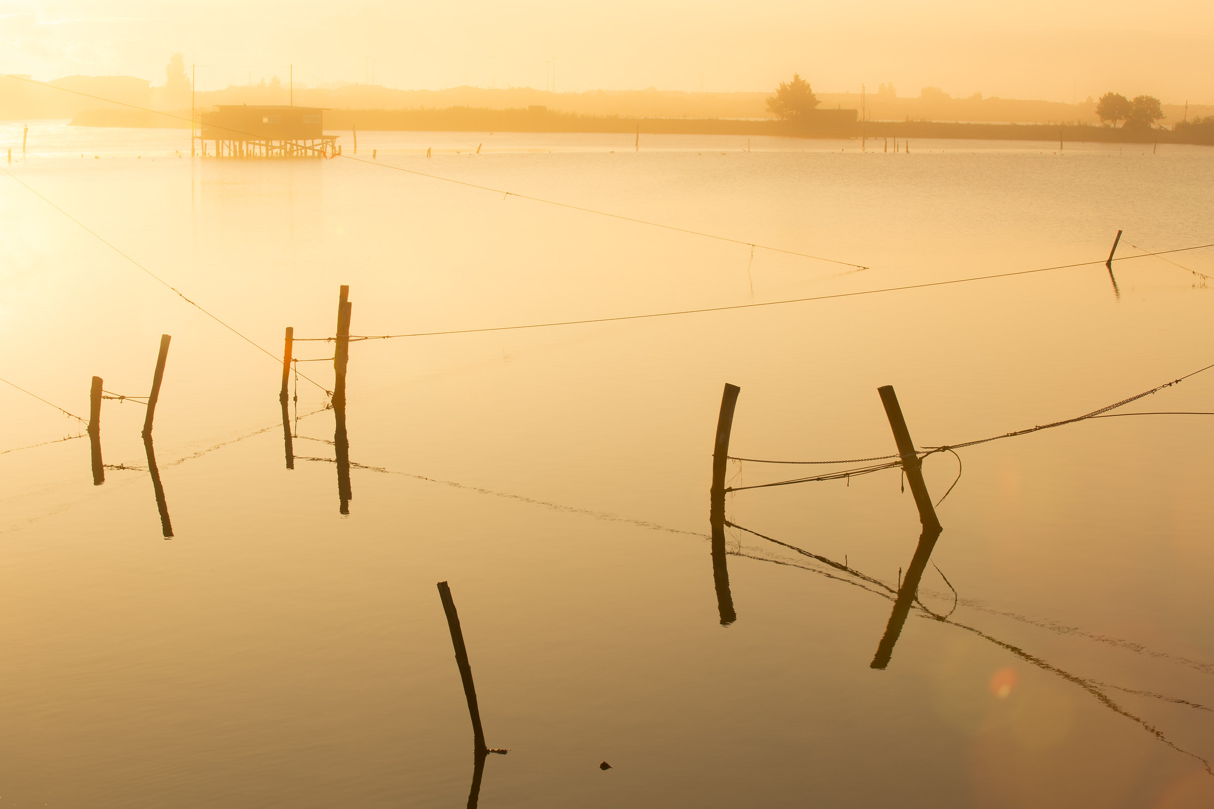 valli di Comacchio 5