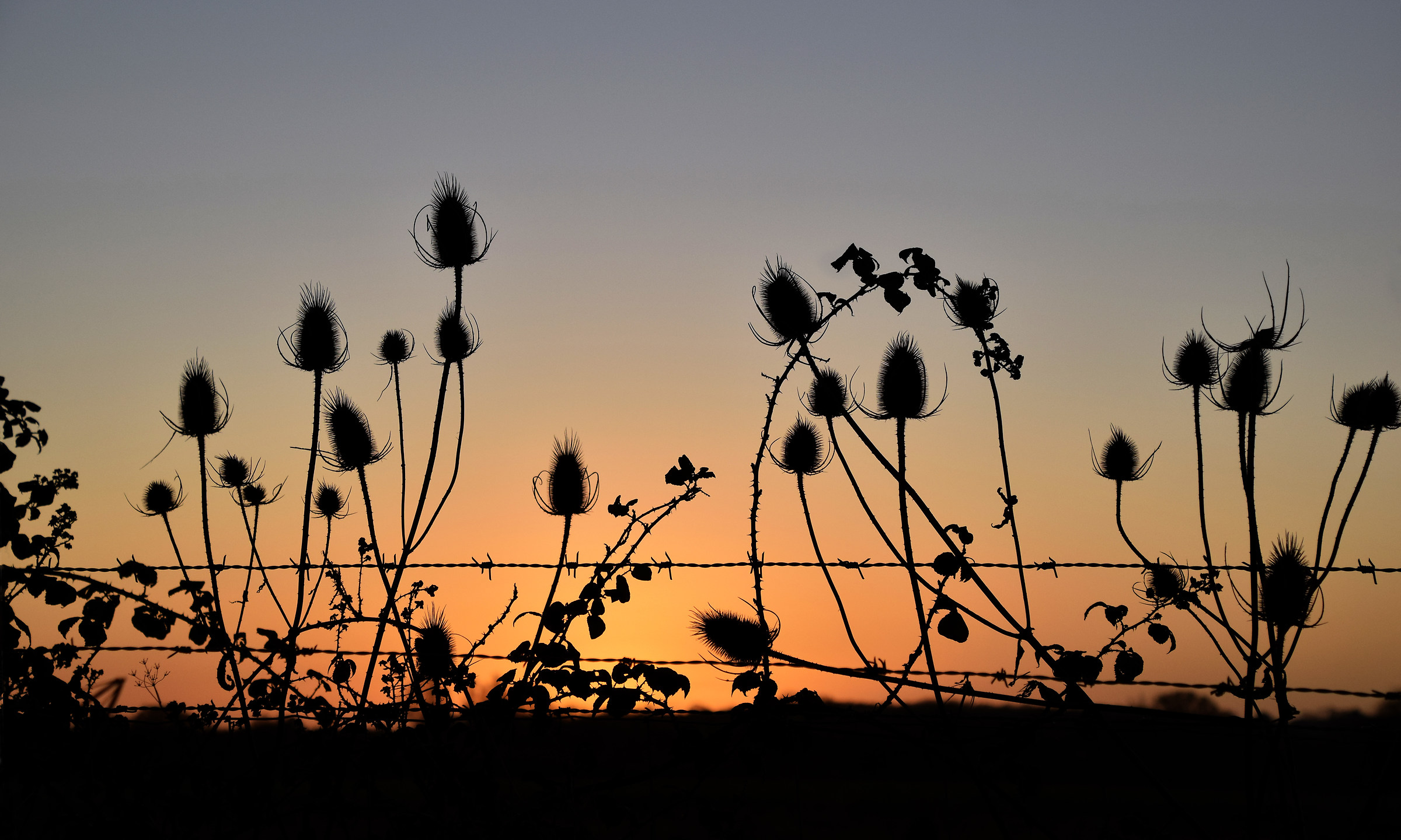 Dawning of a New Day