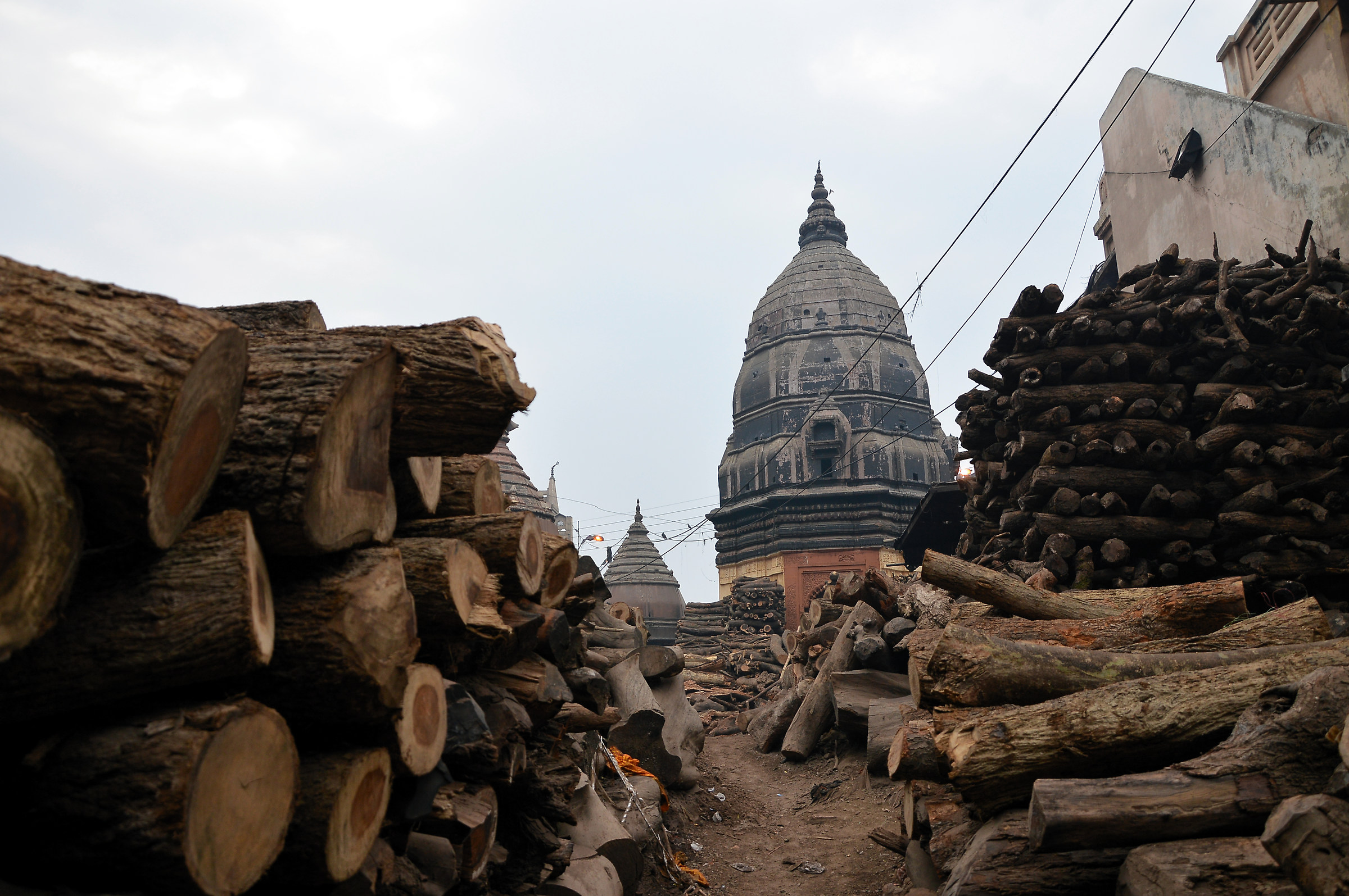 timber for cremation