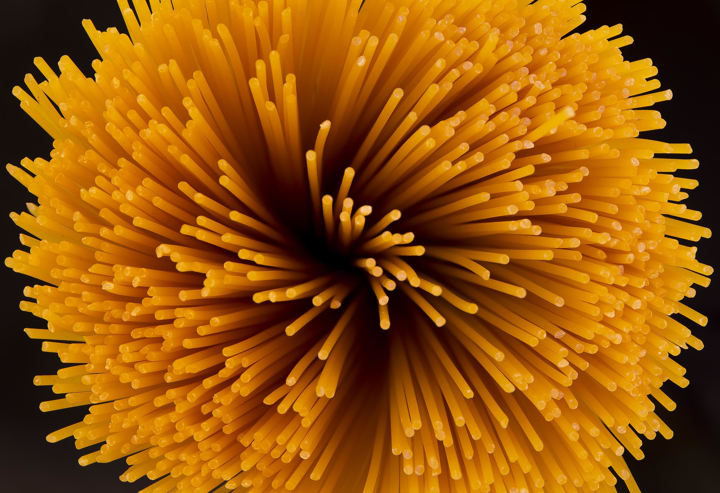 Spaghetti fireworks