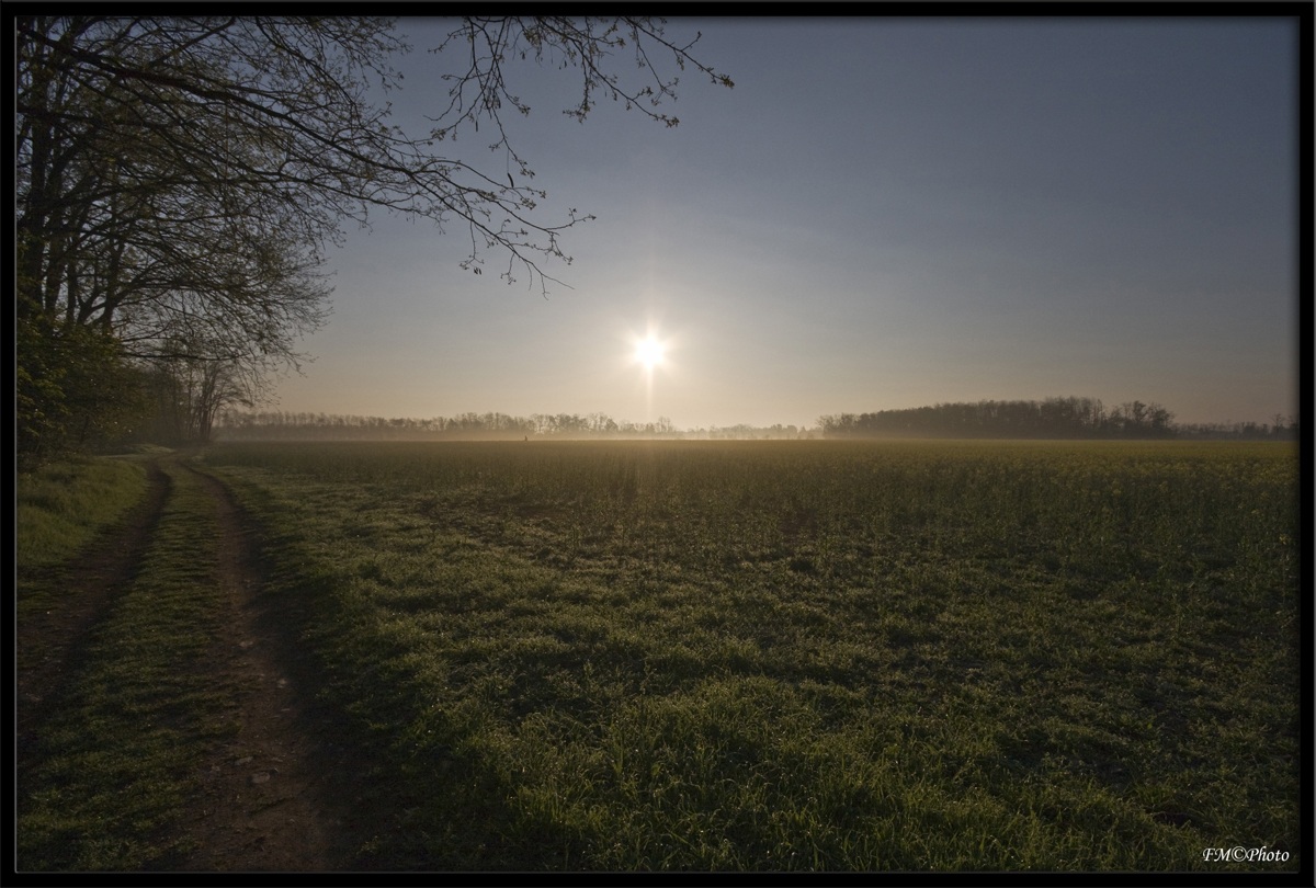 Alba nel parco del Roccolo