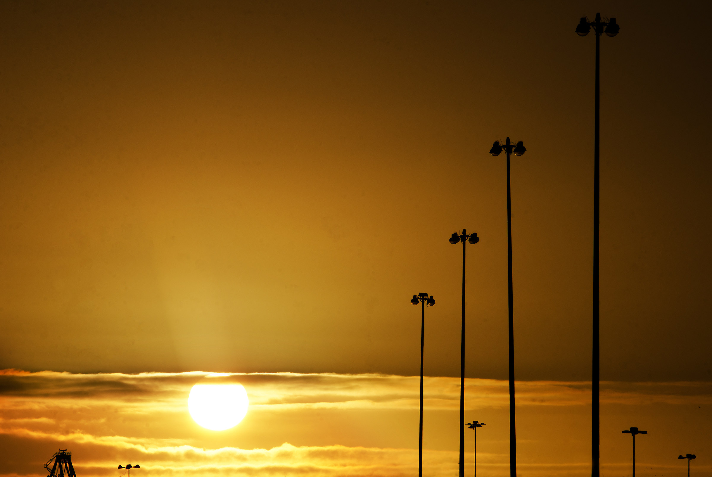 The "Palms" - of Southampton Docks....