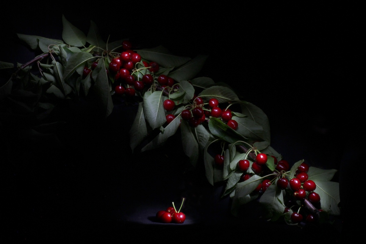 cherries ... morte2