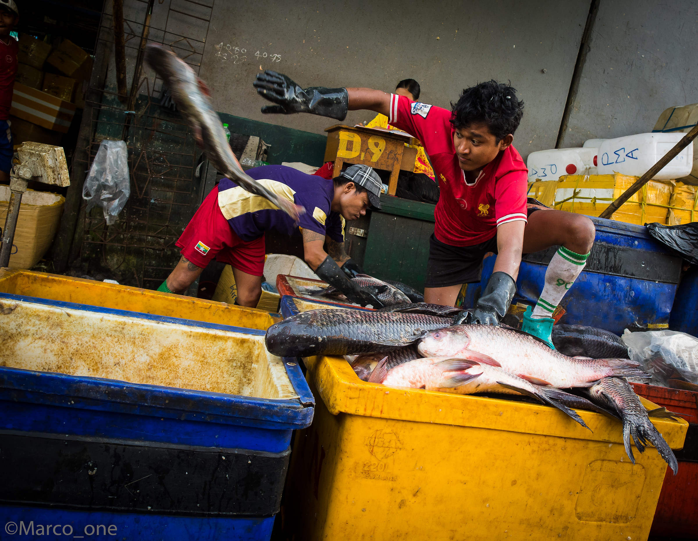 Fish Market, Yangon