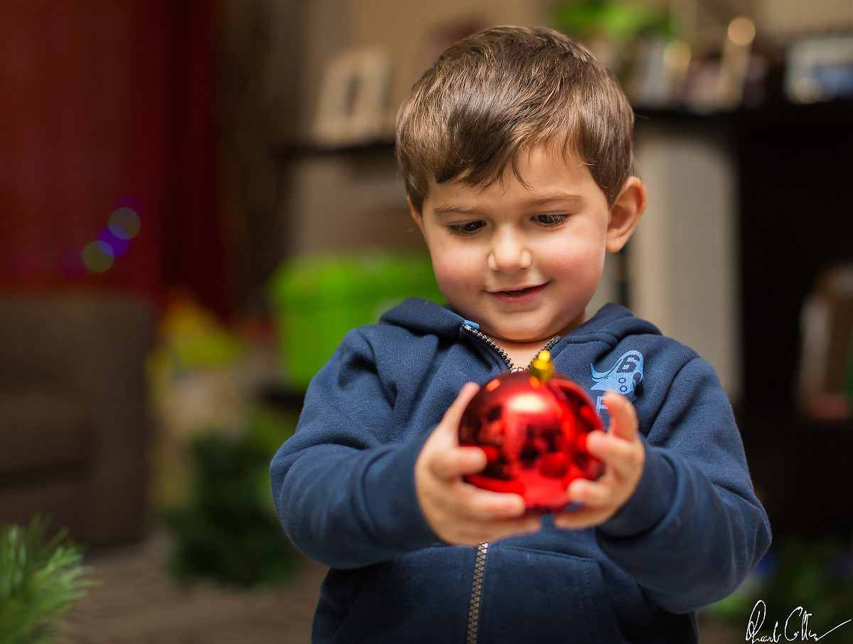 Facciamo l'albero papà?